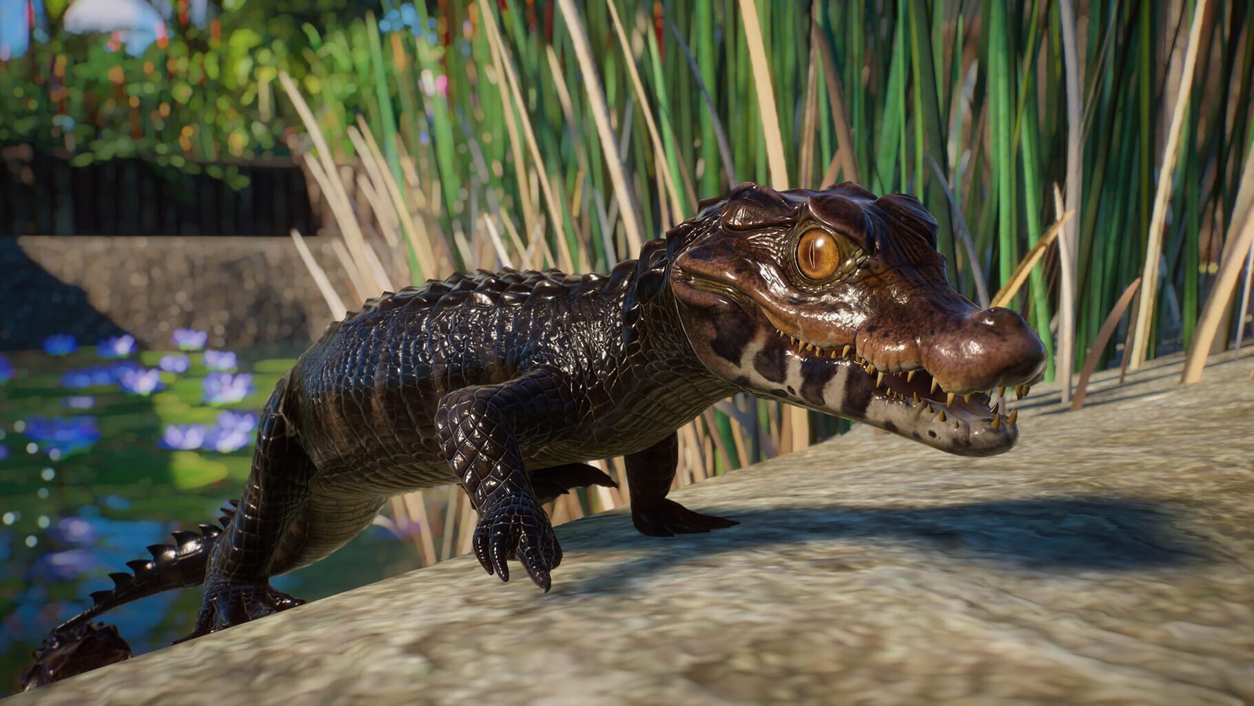 Captura de pantalla - Planet Zoo: Aquatic Pack