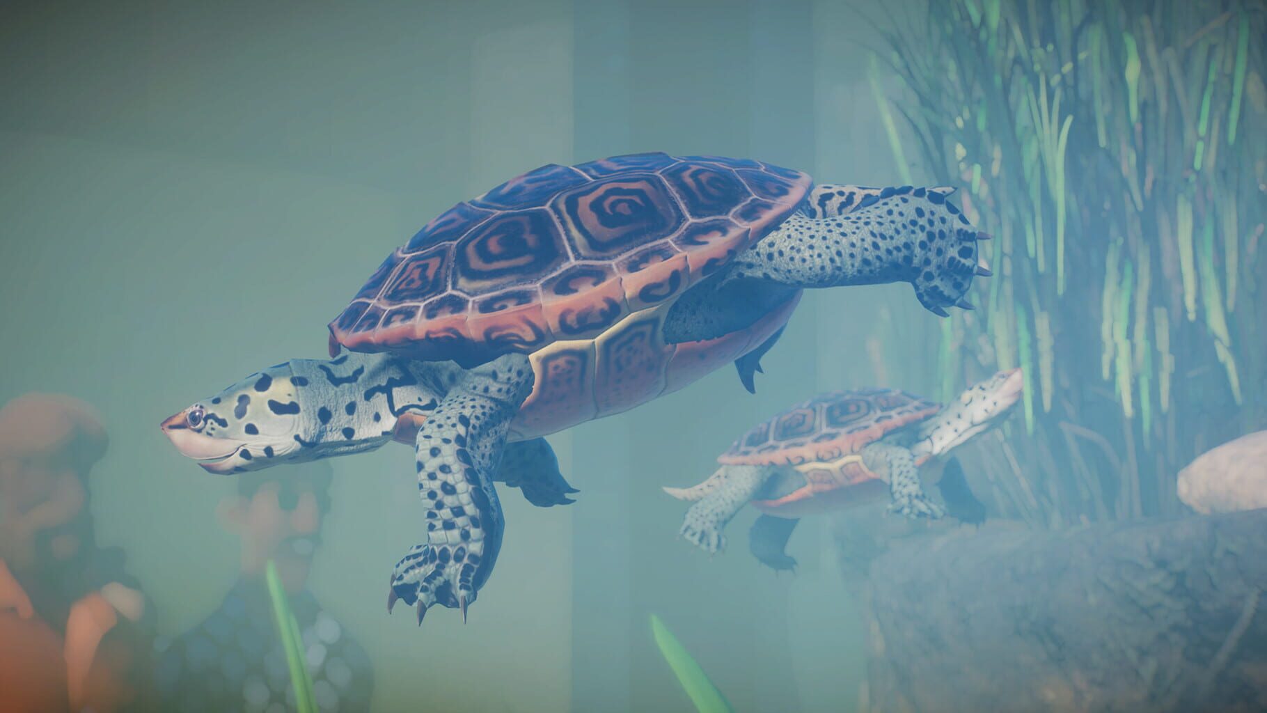 Captura de pantalla - Planet Zoo: Aquatic Pack