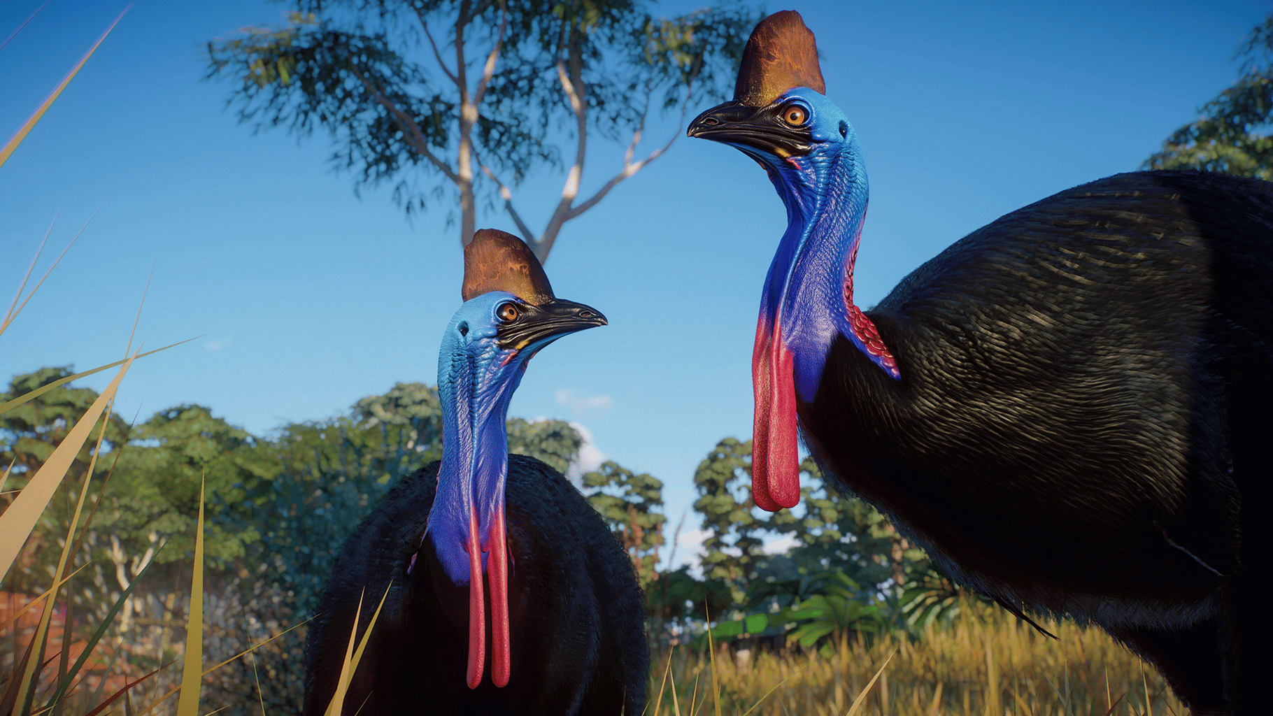 Planet Zoo: Australia Pack screenshot