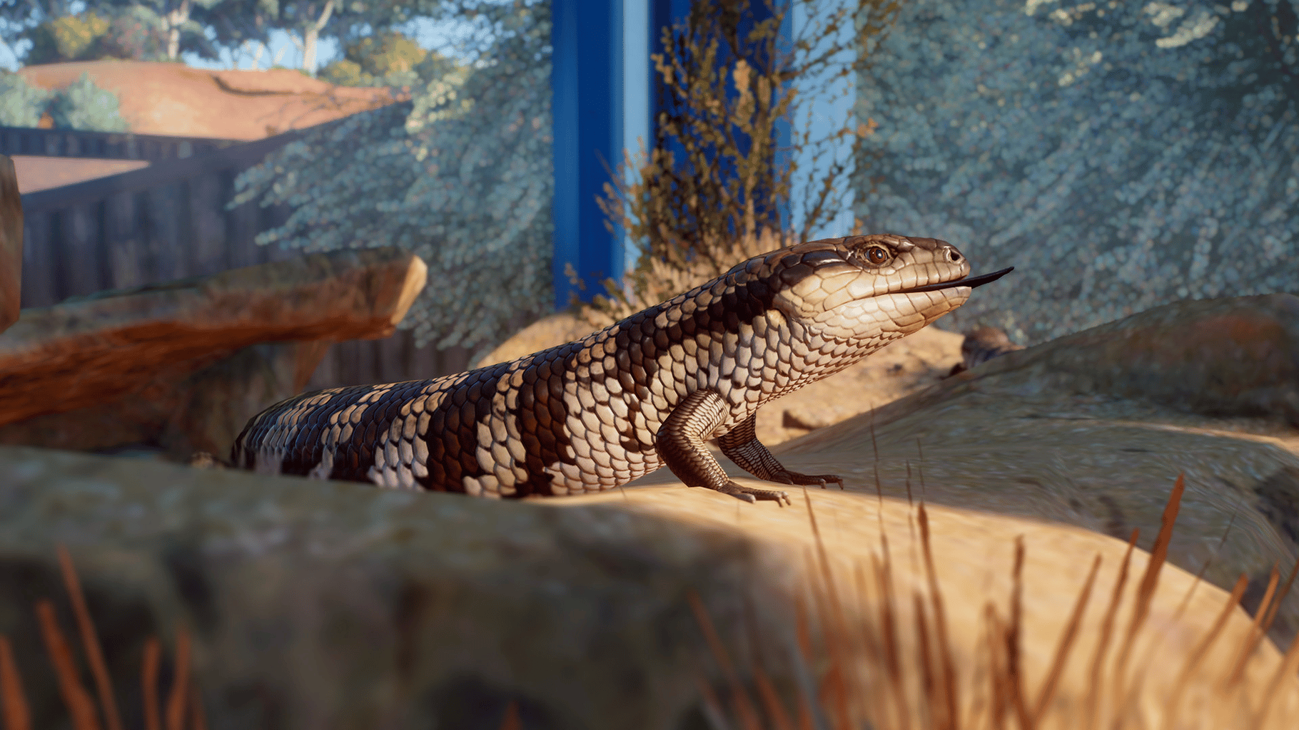 Planet Zoo: Australia Pack screenshot