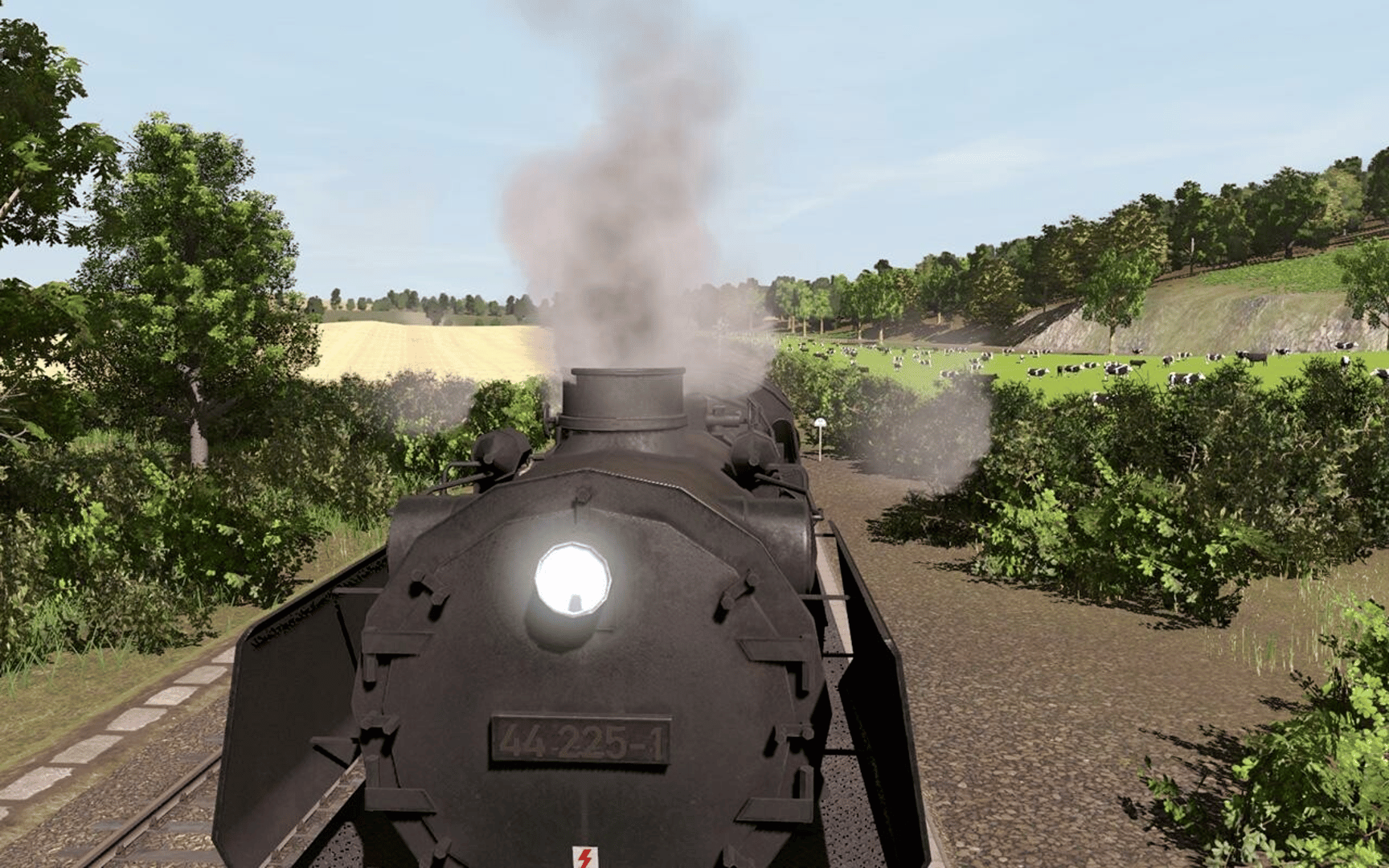 Trainz Railroad Simulator 2019: Pro Train - DB Class 44 screenshot