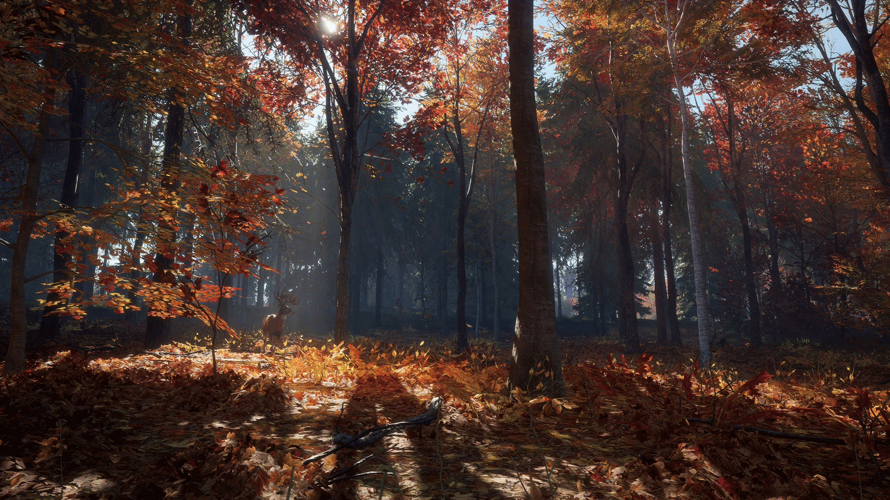 TheHunter: Call of the Wild - New England Mountains screenshot