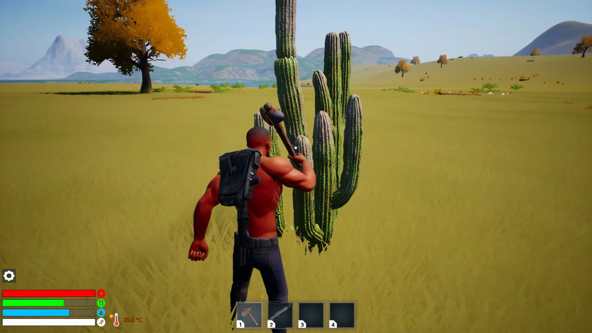 Thumbnail 5