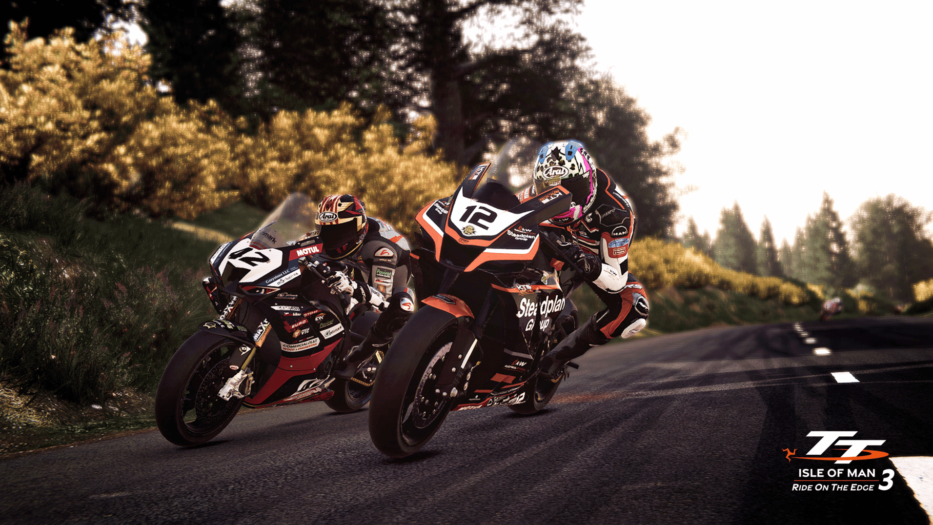 TT Isle of Man: Ride on the Edge 3 screenshot