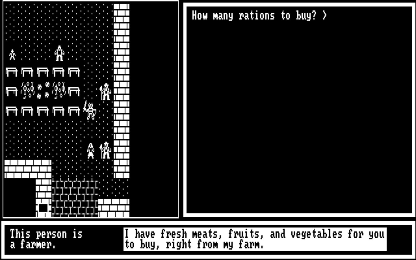 Ranadinn - Screenshot