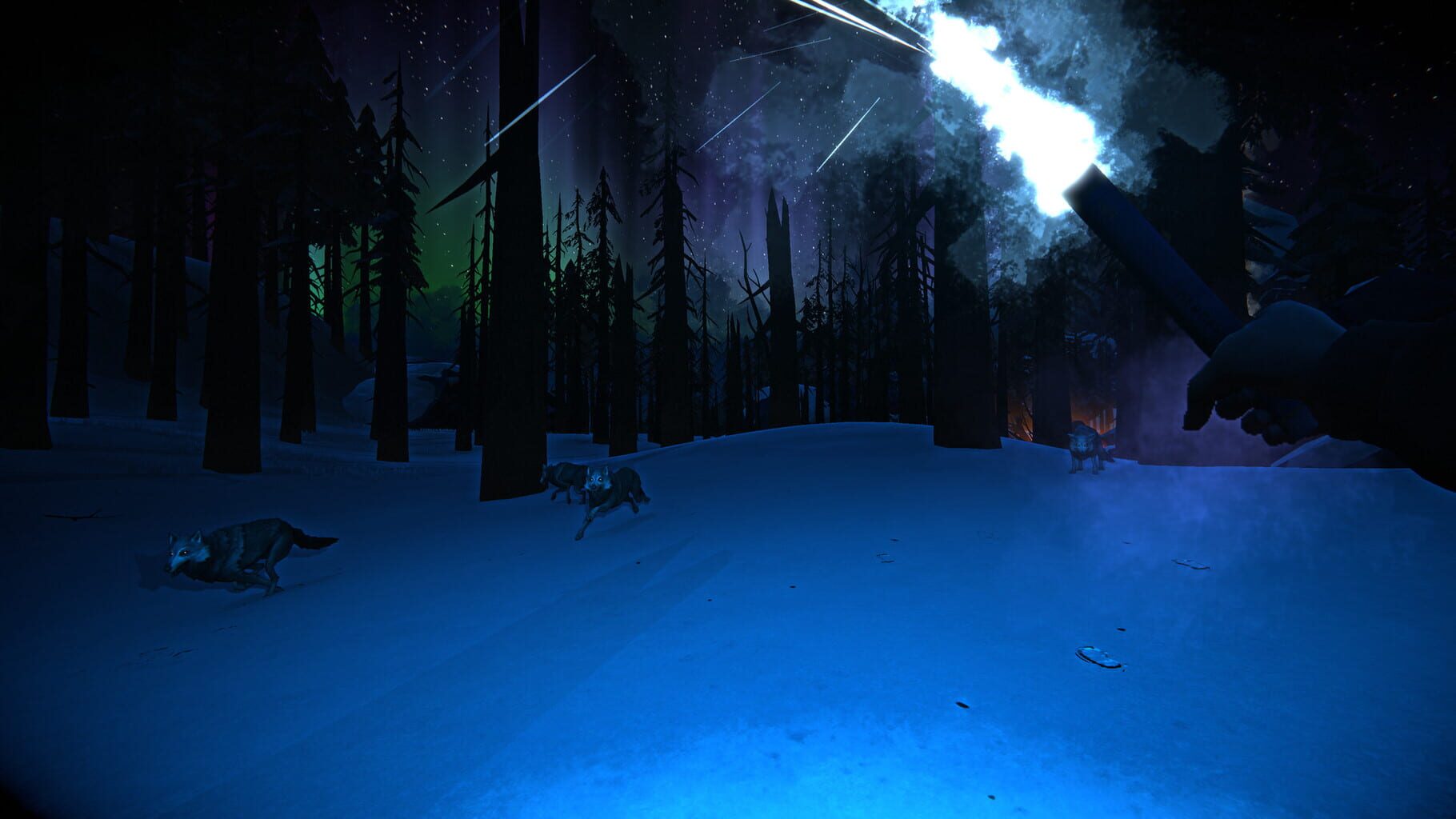 Captura de pantalla - The Long Dark: Wintermute