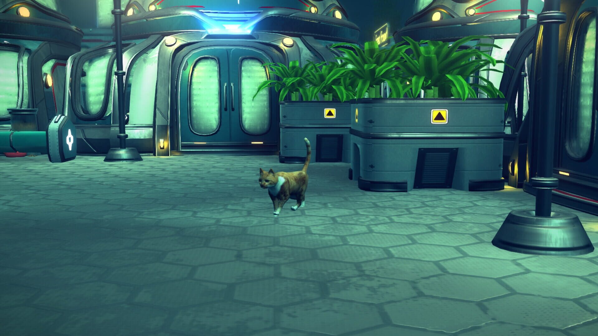 Aquatico: Founder's Pack - Screenshot