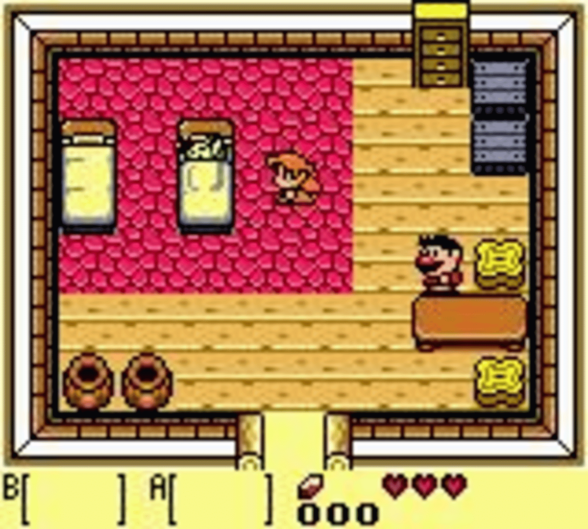 The Legend of Zelda: Link's Awakening DX screenshot