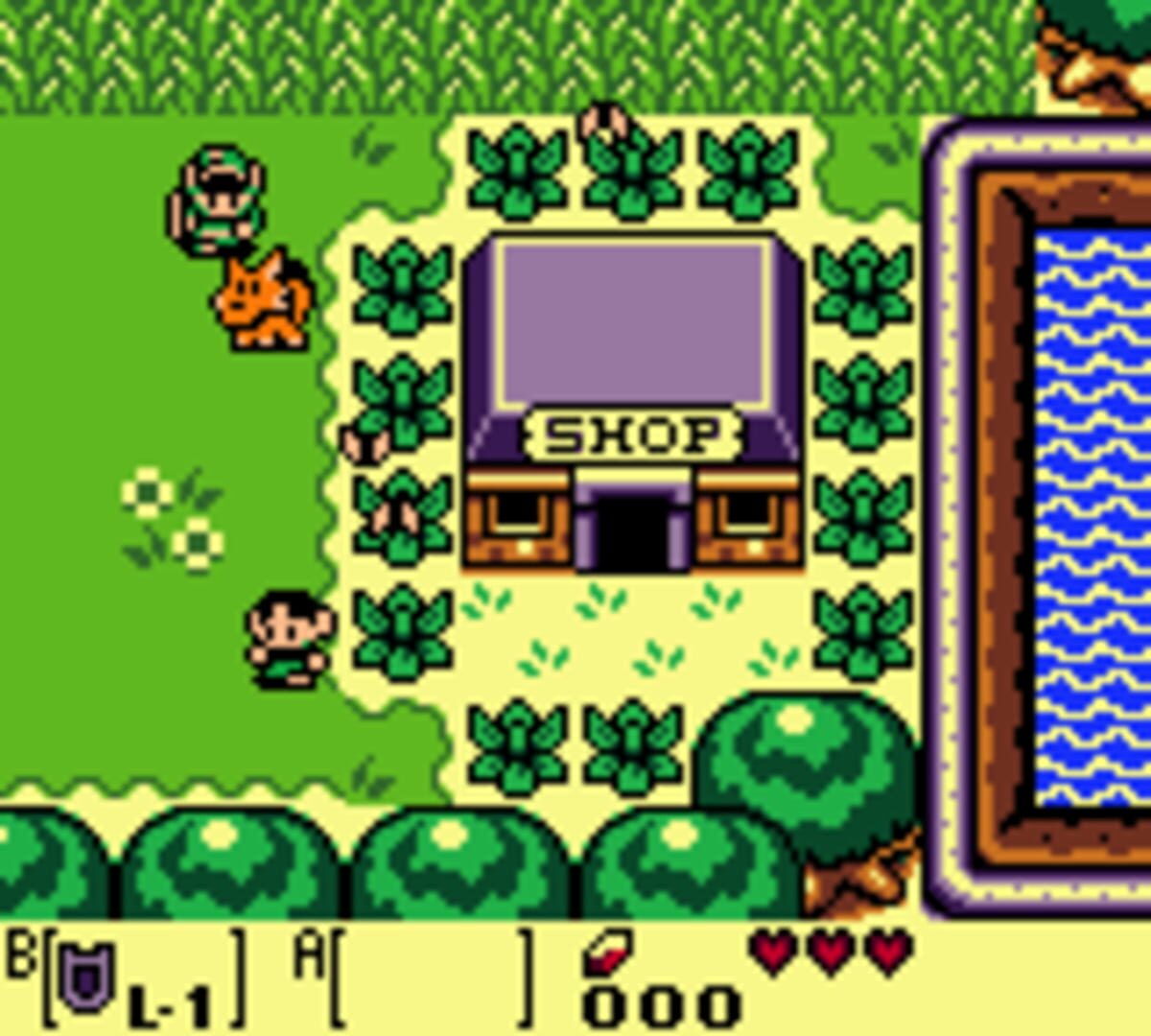 Captura de pantalla - The Legend of Zelda: Link's Awakening DX