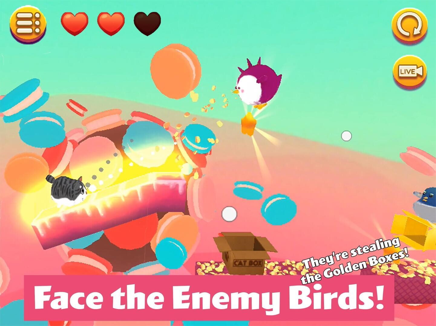 Kitty in the Box 2 - Screenshot