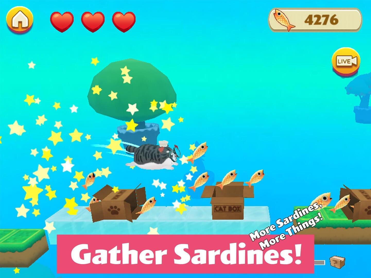 Kitty in the Box 2 - Screenshot