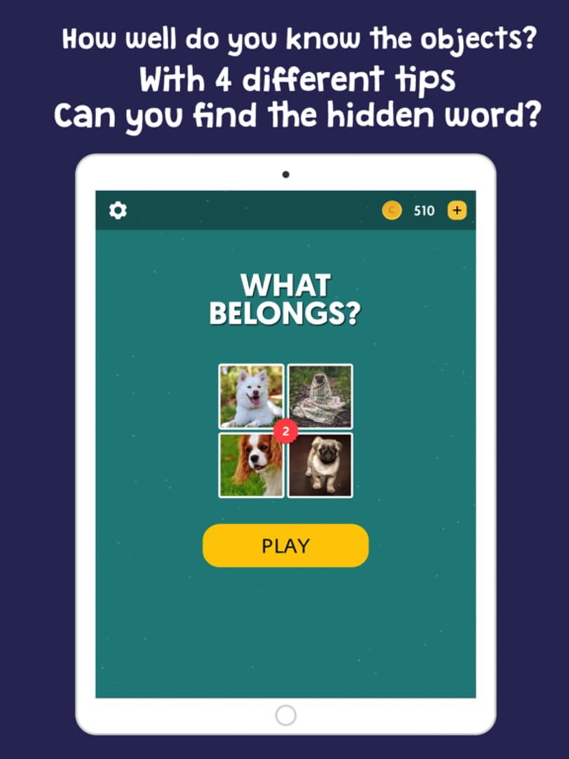 What Belongs?Find Hidden Words - Screenshot
