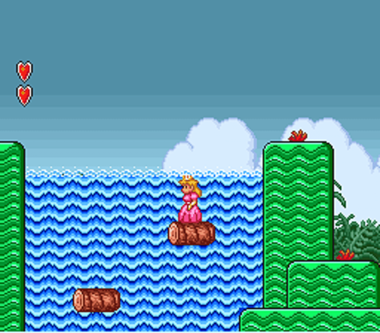 Super Mario Bros. 2 screenshot