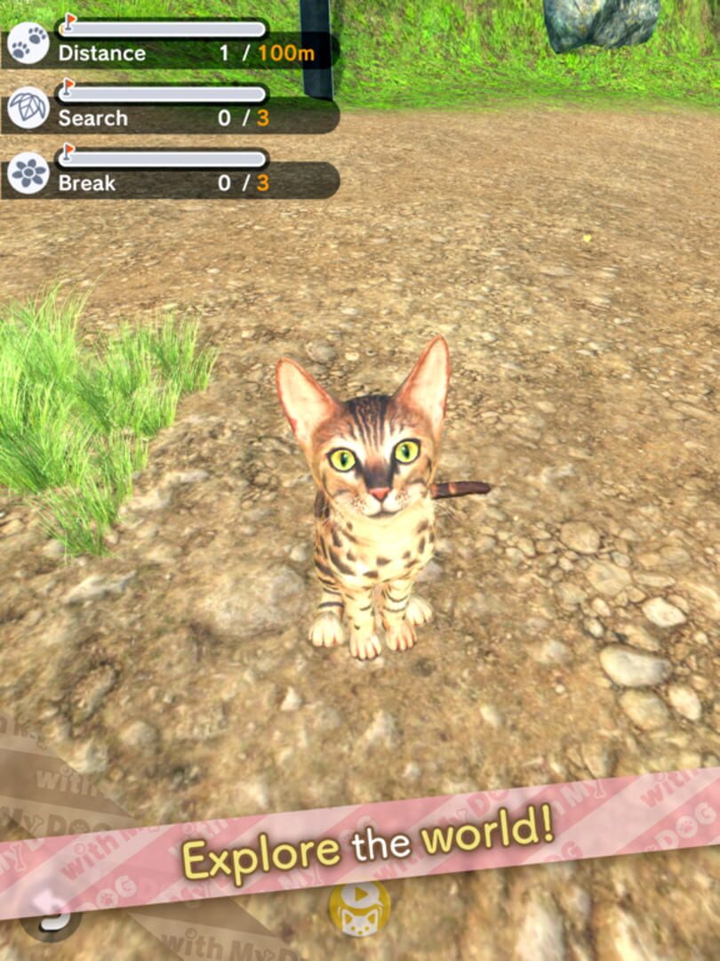 With My Cat - Screenshot