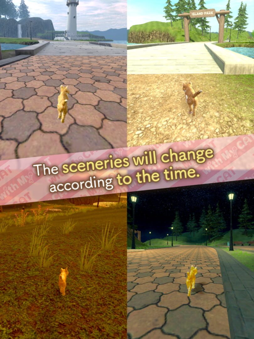 With My Cat - Screenshot