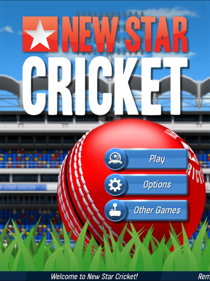New Star Cricket - Screenshot