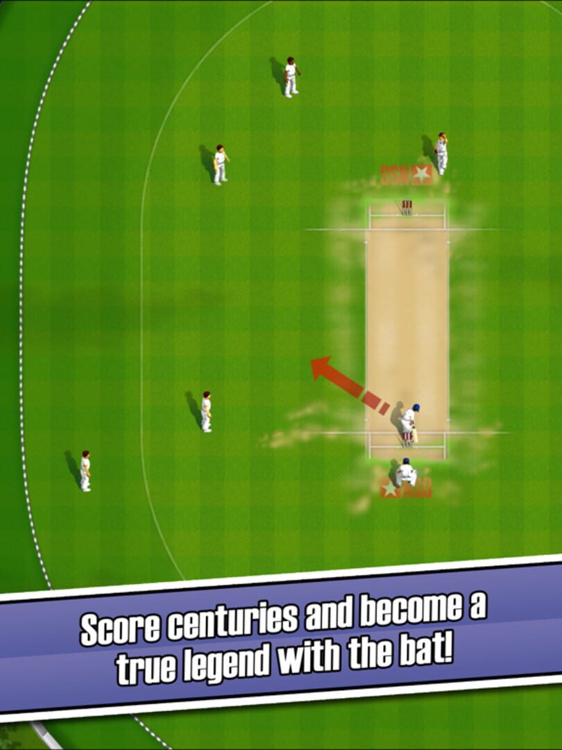 New Star Cricket - Screenshot