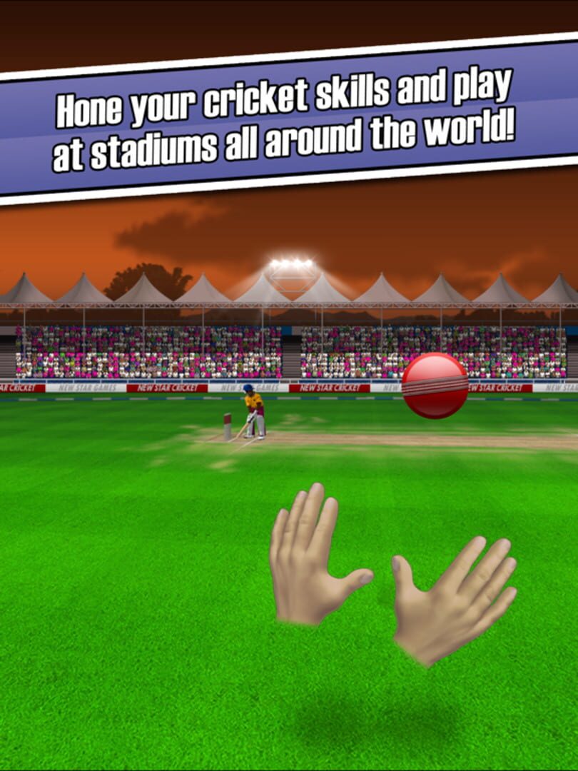 New Star Cricket - Screenshot