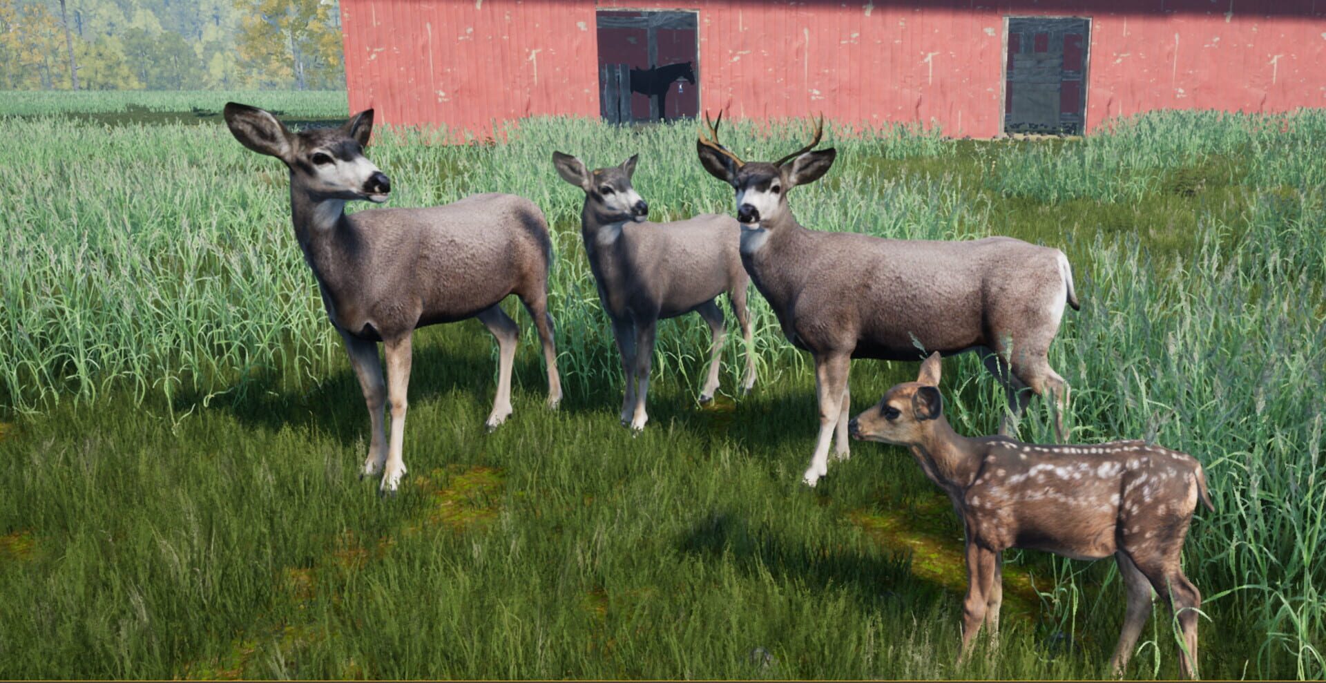 Wilderness Survival: The Conservationist - Screenshot