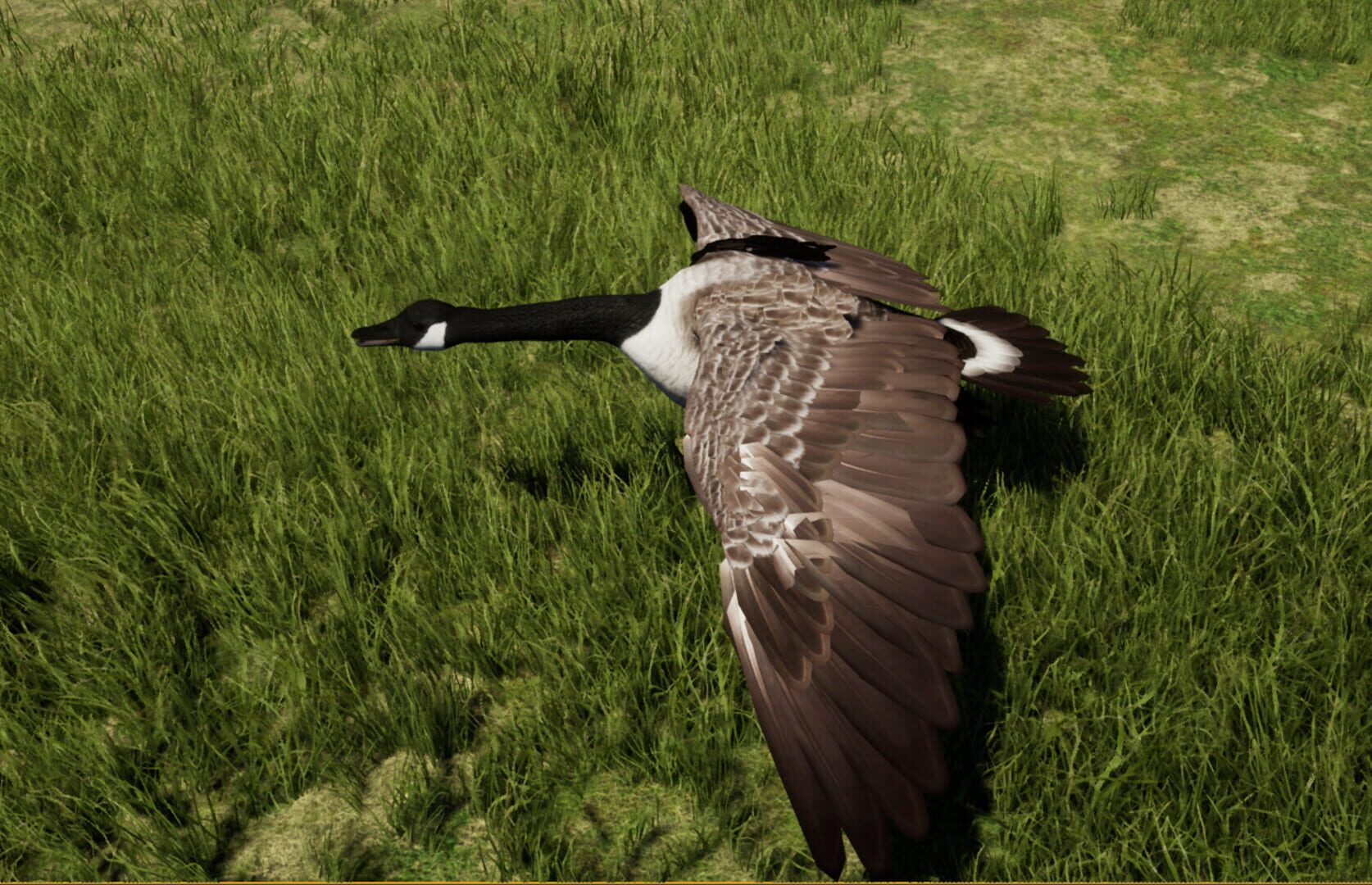Wilderness Survival: The Conservationist - Screenshot