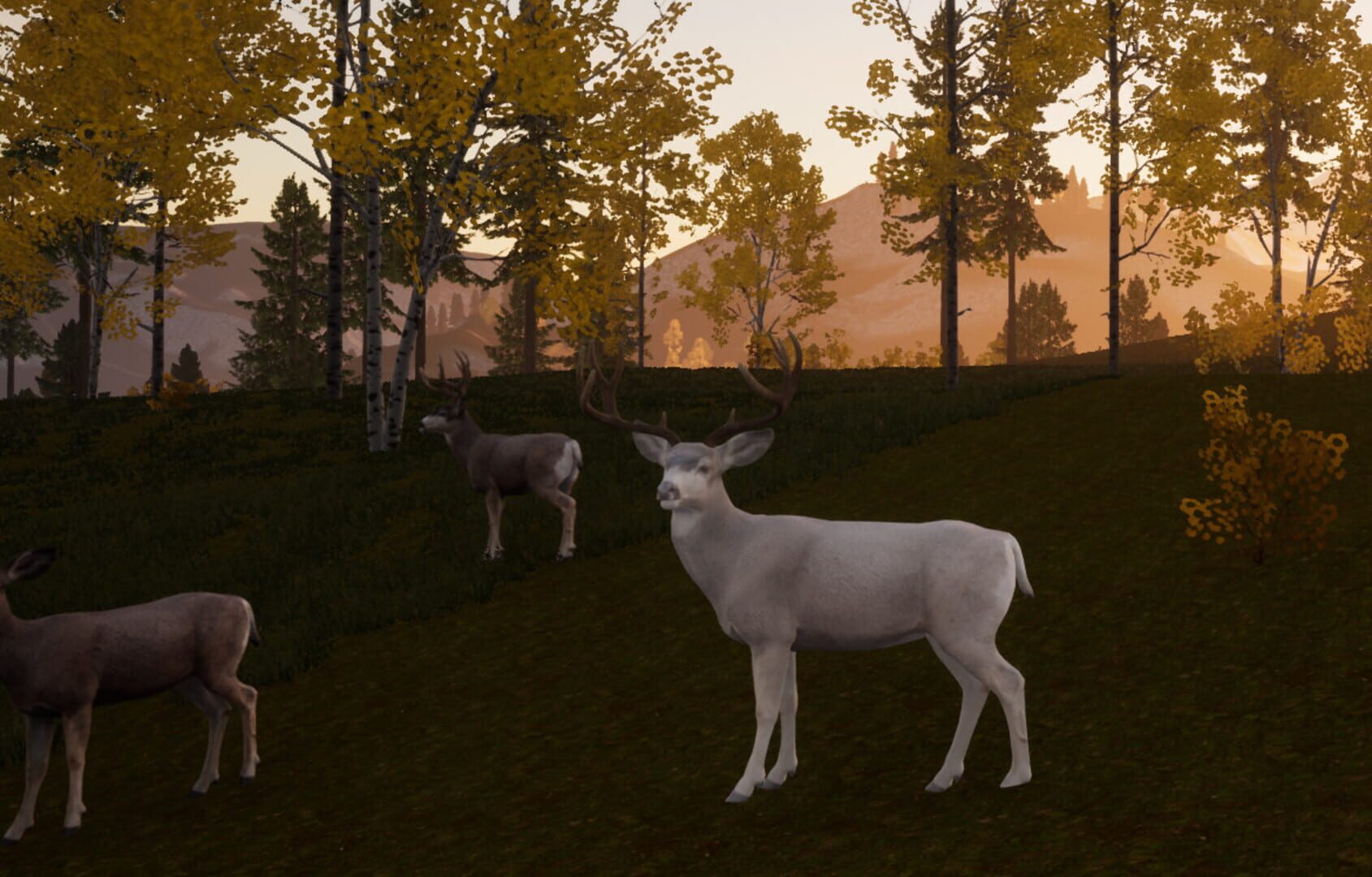 Wilderness Survival: The Conservationist - Screenshot