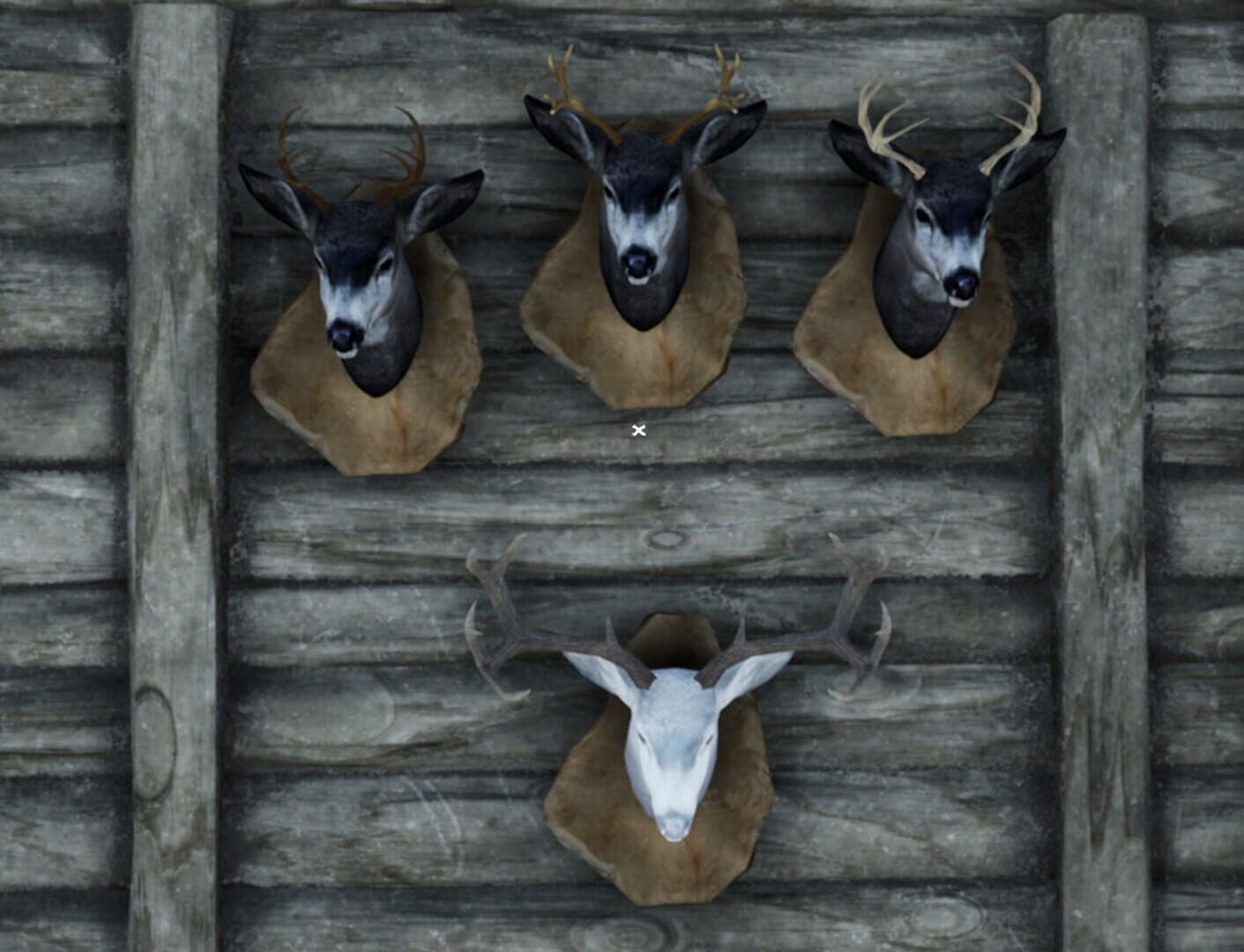 Wilderness Survival: The Conservationist - Screenshot