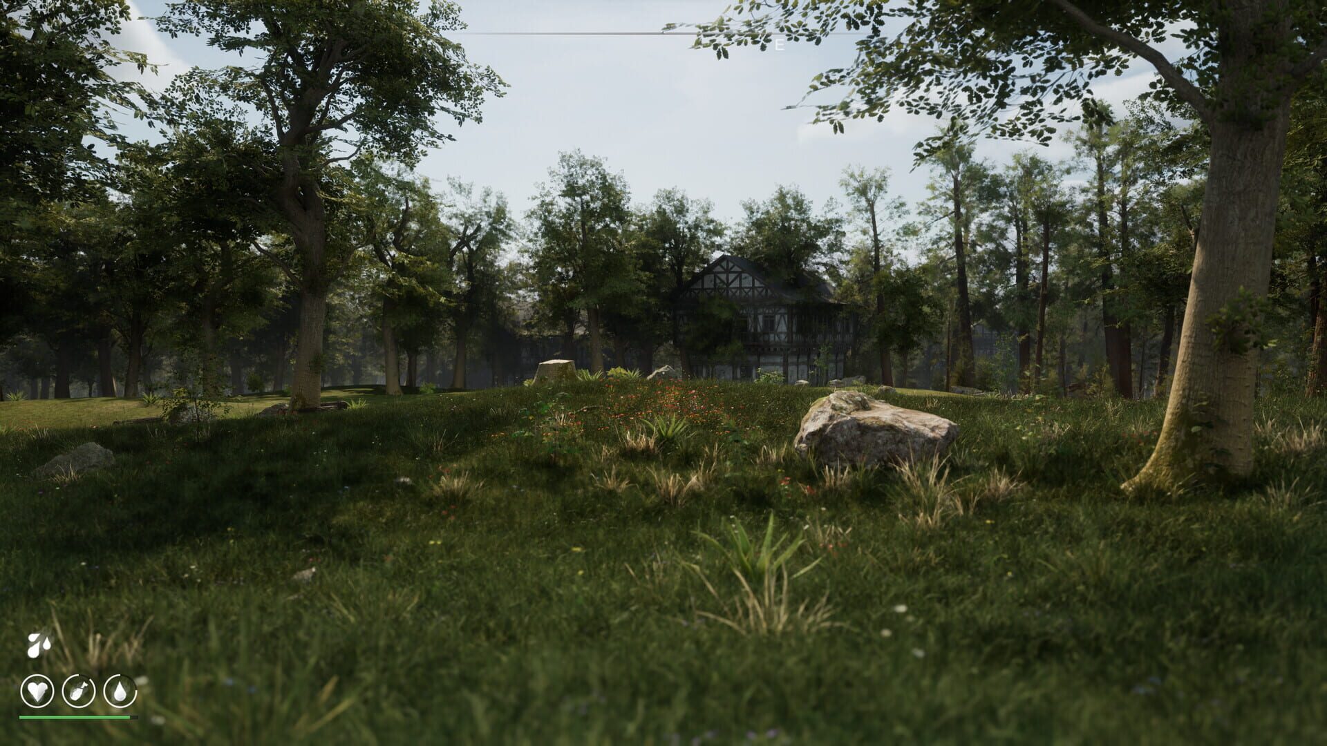 Solid River - Screenshot