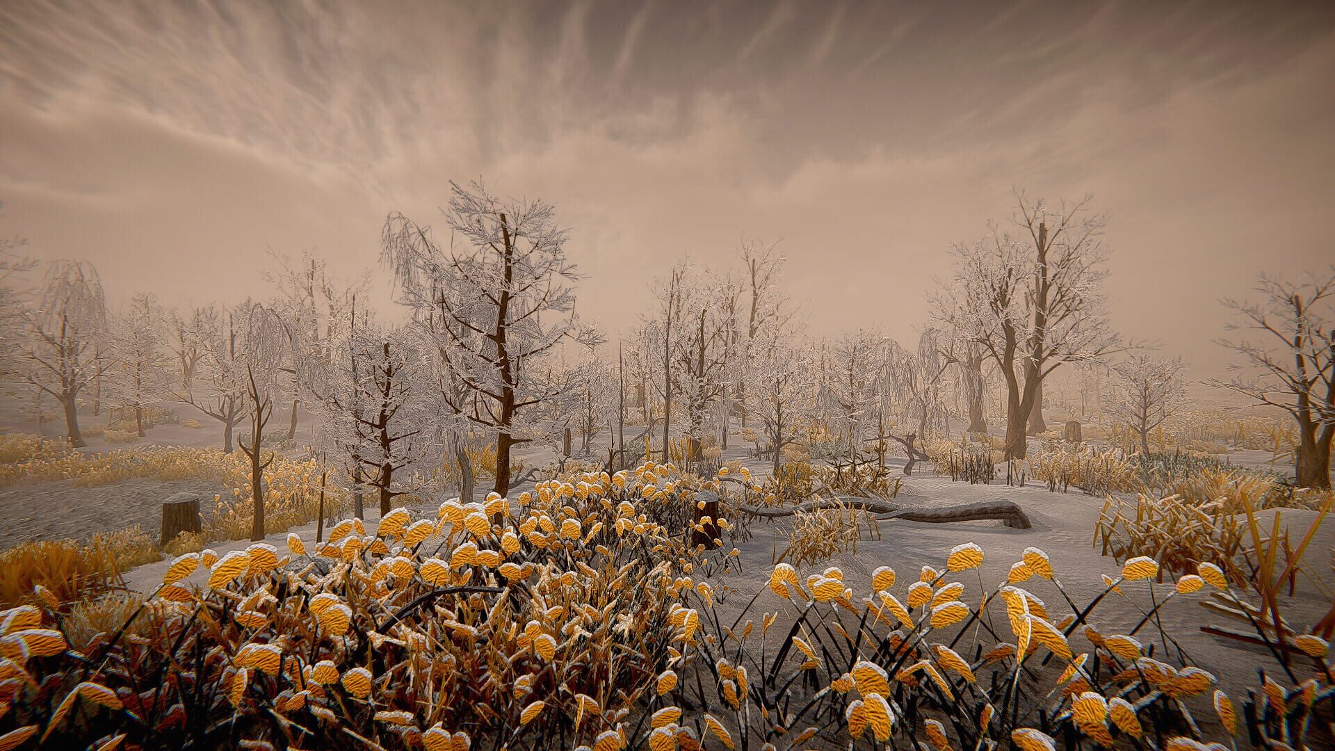 AIT - Screenshot