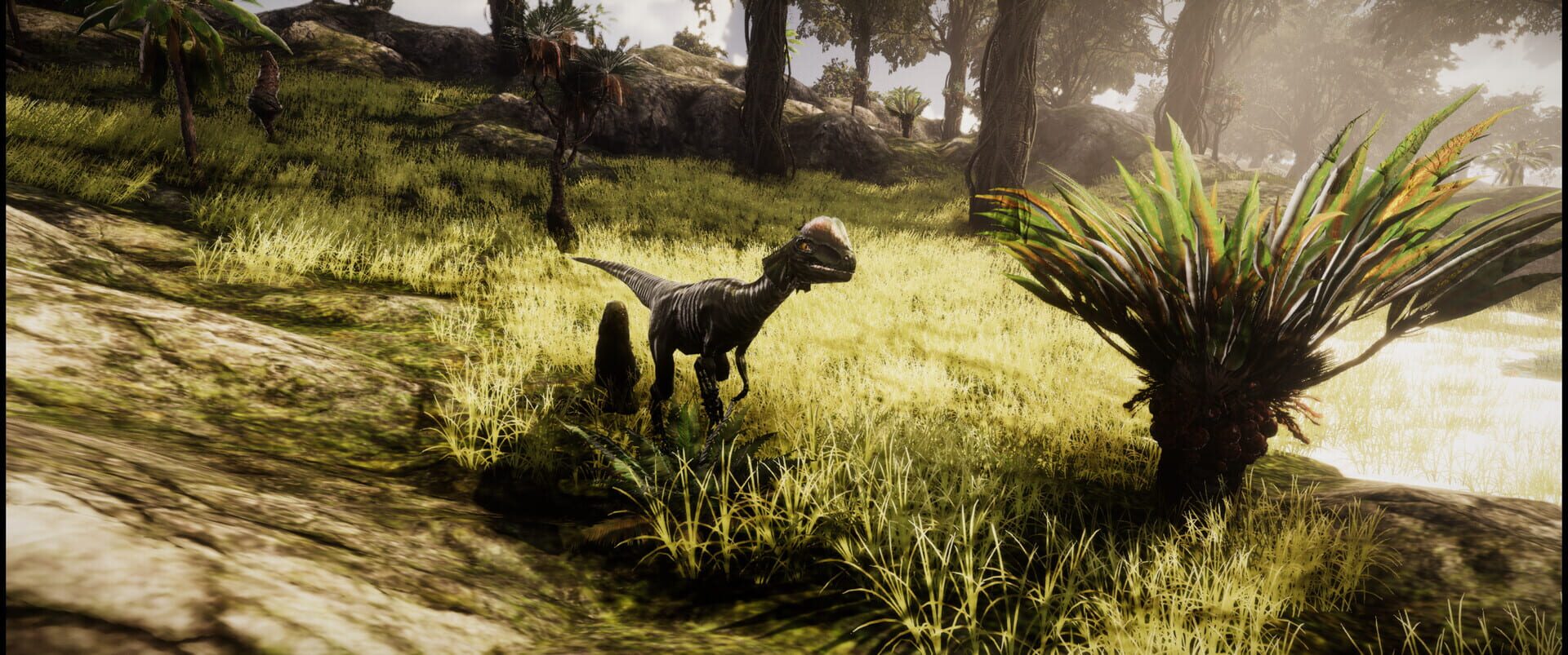 Dinosaur Simulator - Screenshot