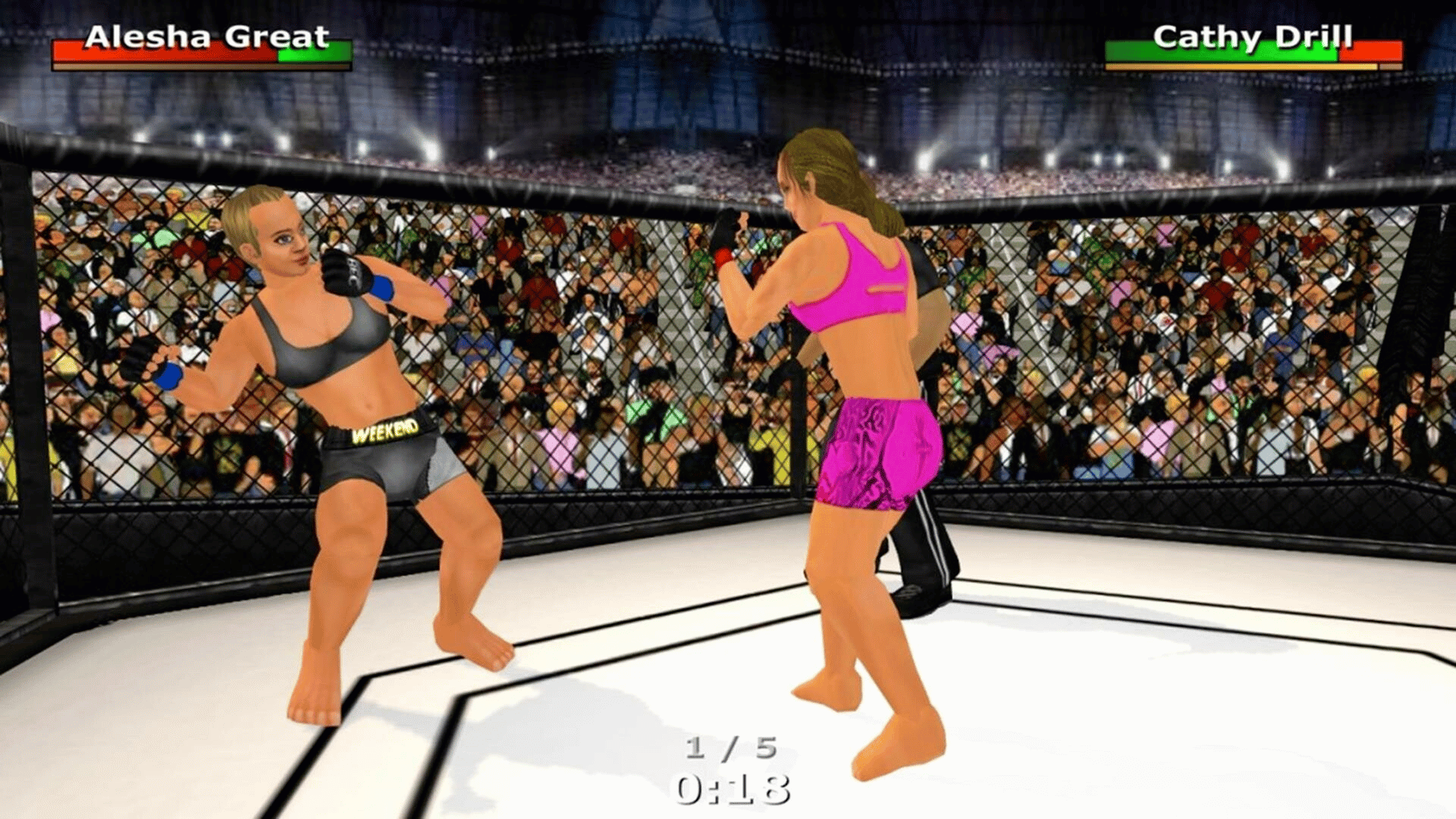 Weekend Warriors MMA screenshot