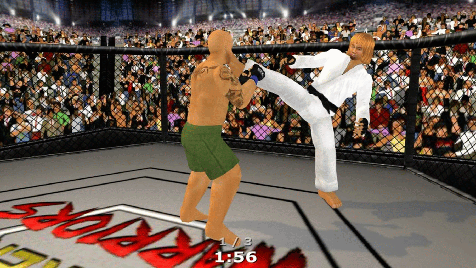 Weekend Warriors MMA screenshot