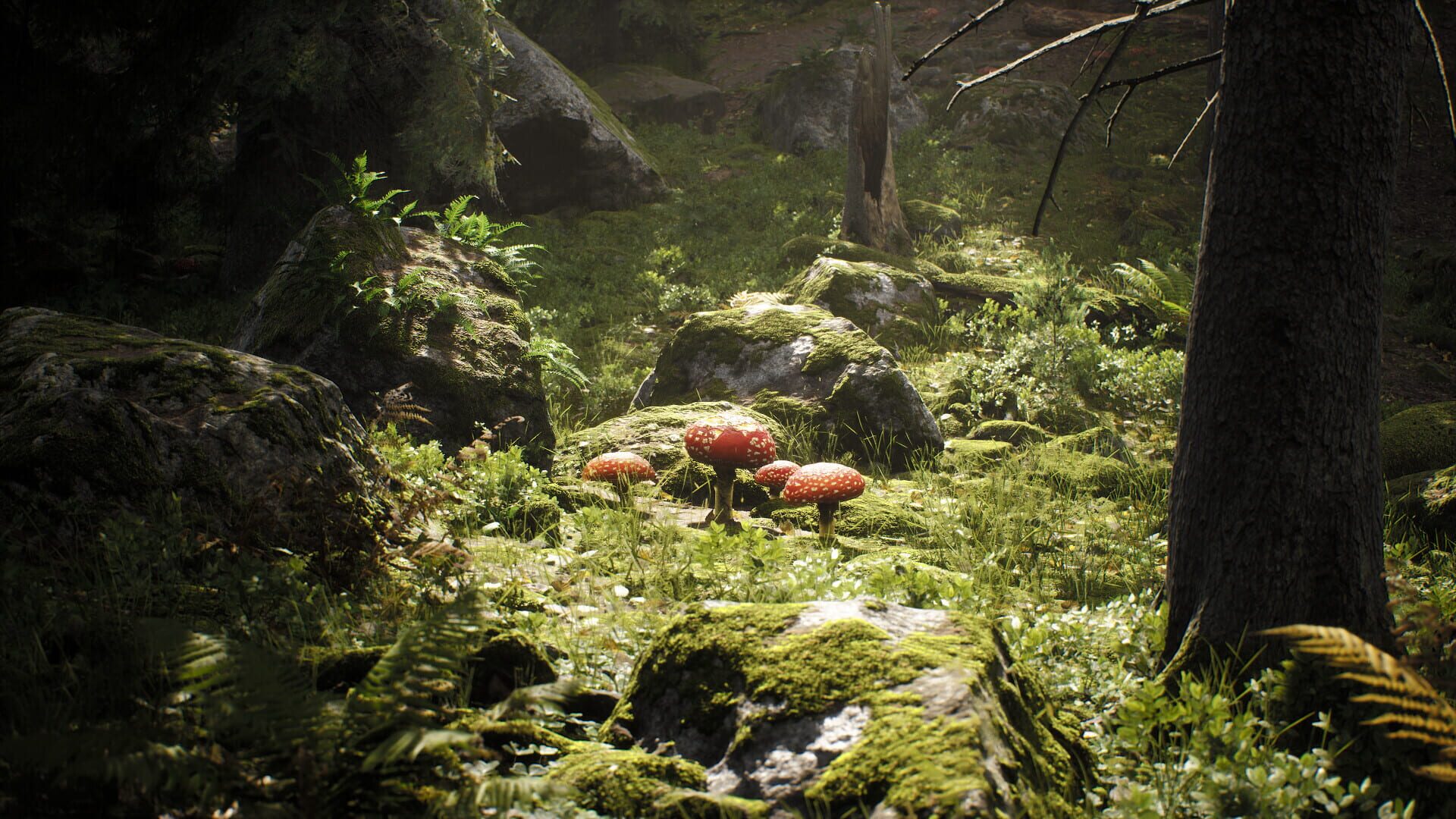 The Last Saviour: Search of Truth - Screenshot