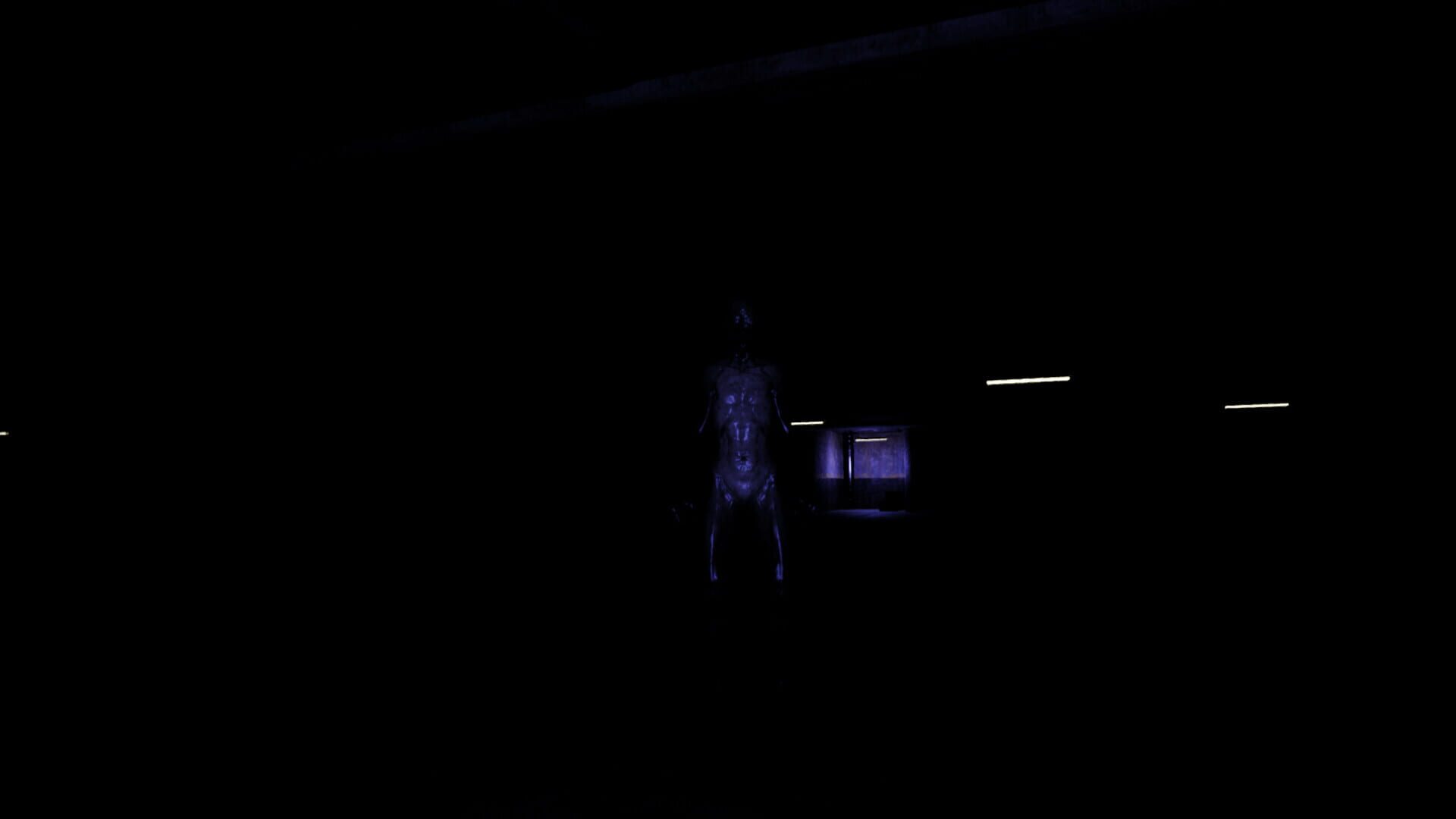 In the Backrooms - Screenshot
