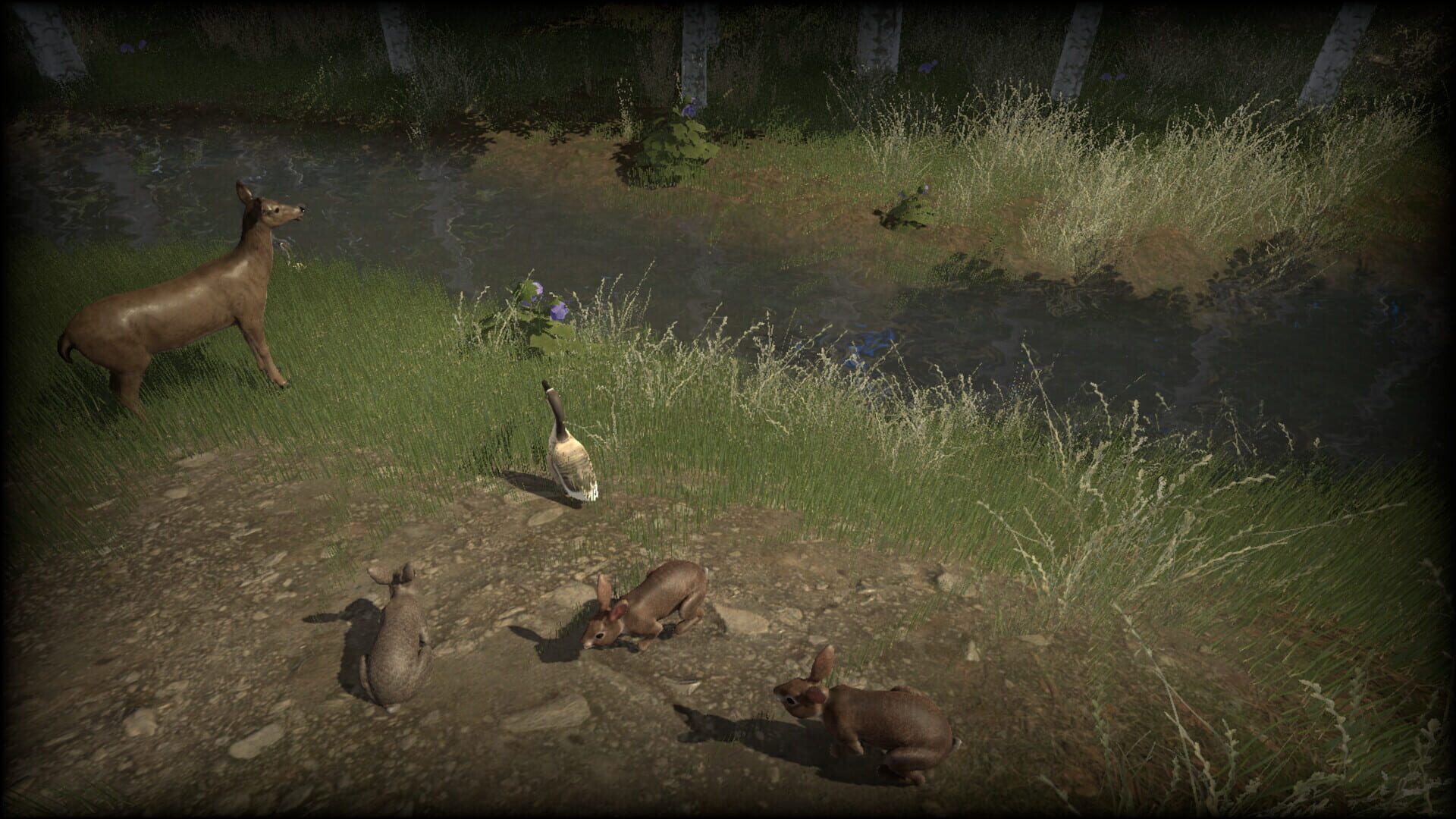 Coastline Survival - Screenshot