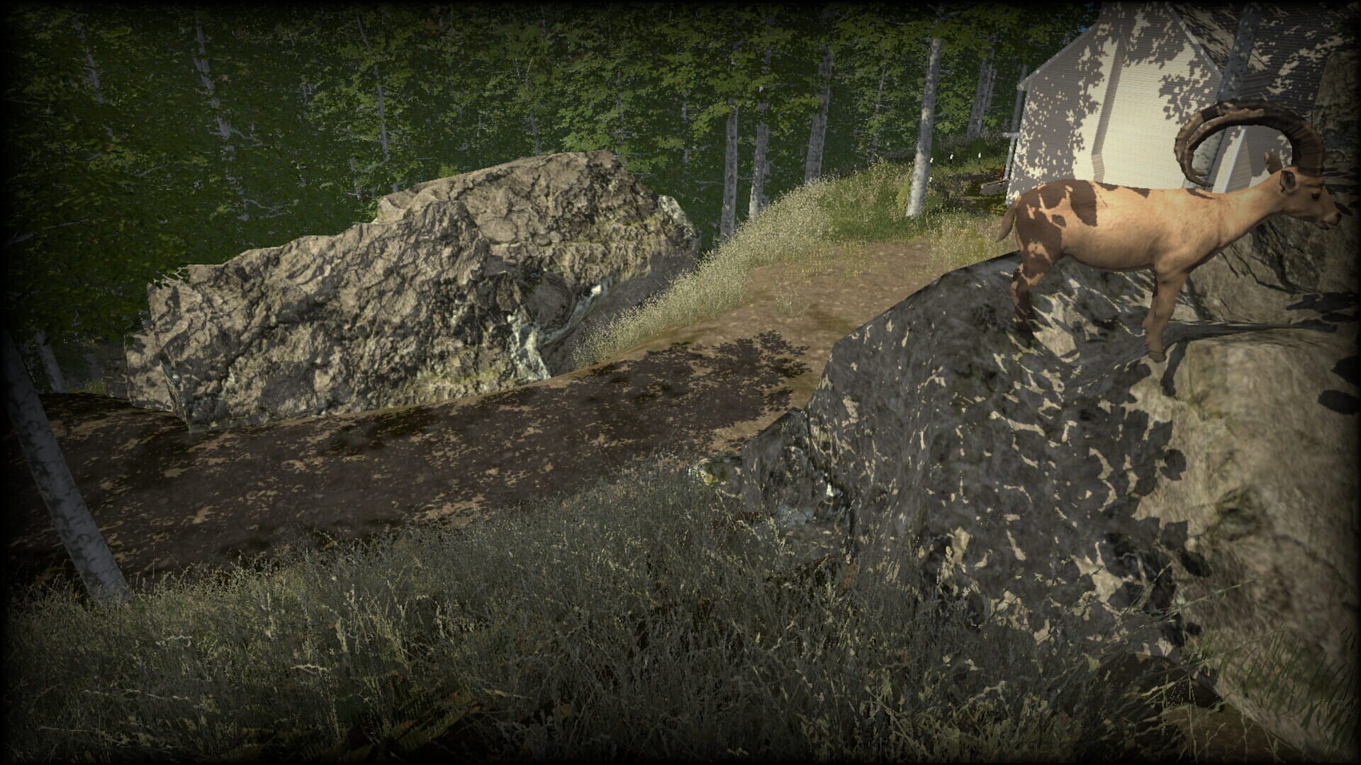 Coastline Survival - Screenshot