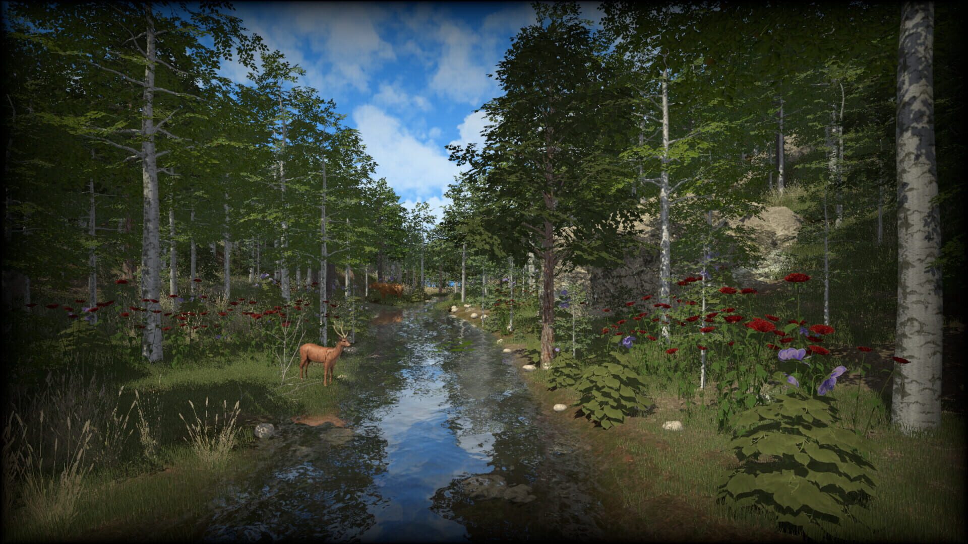 Coastline Survival - Screenshot