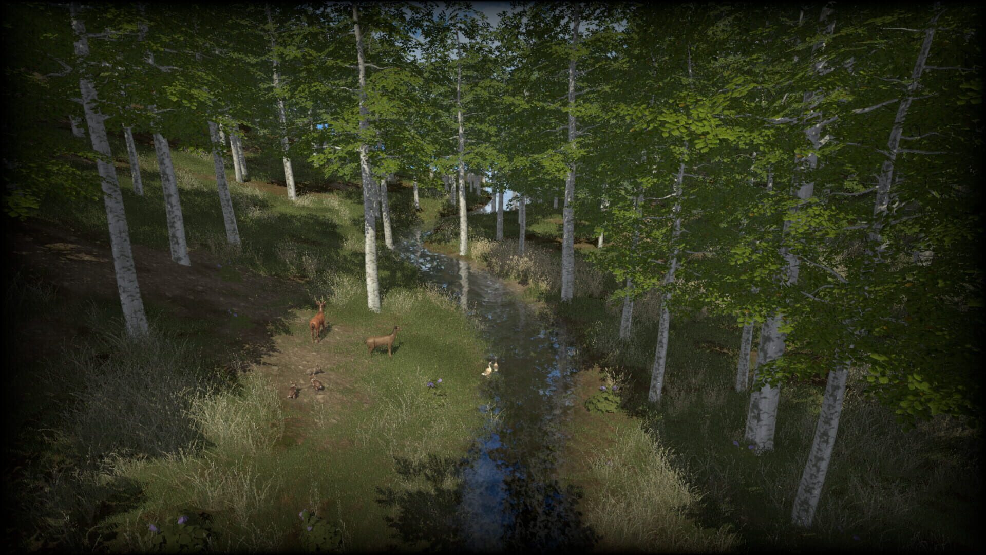 Coastline Survival - Screenshot