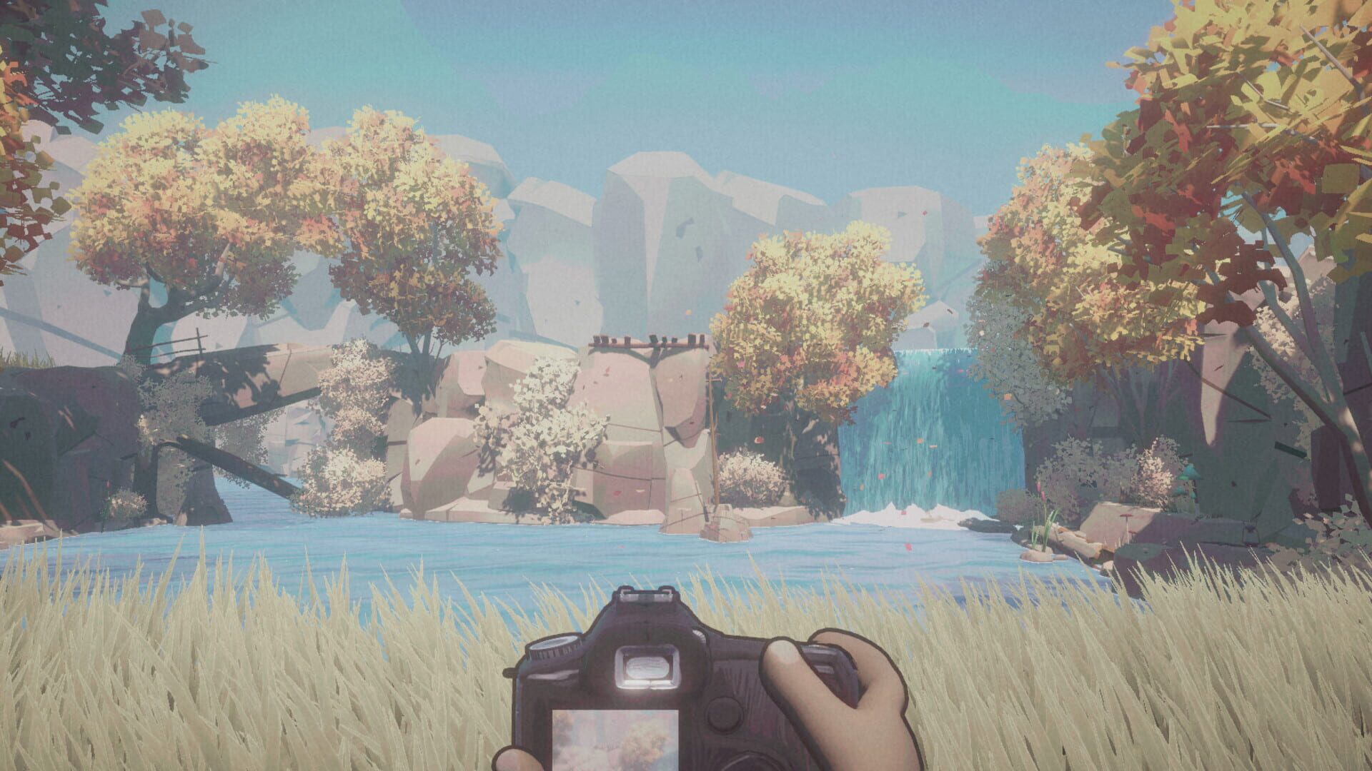 Vignette: Memories of Baruu - Screenshot