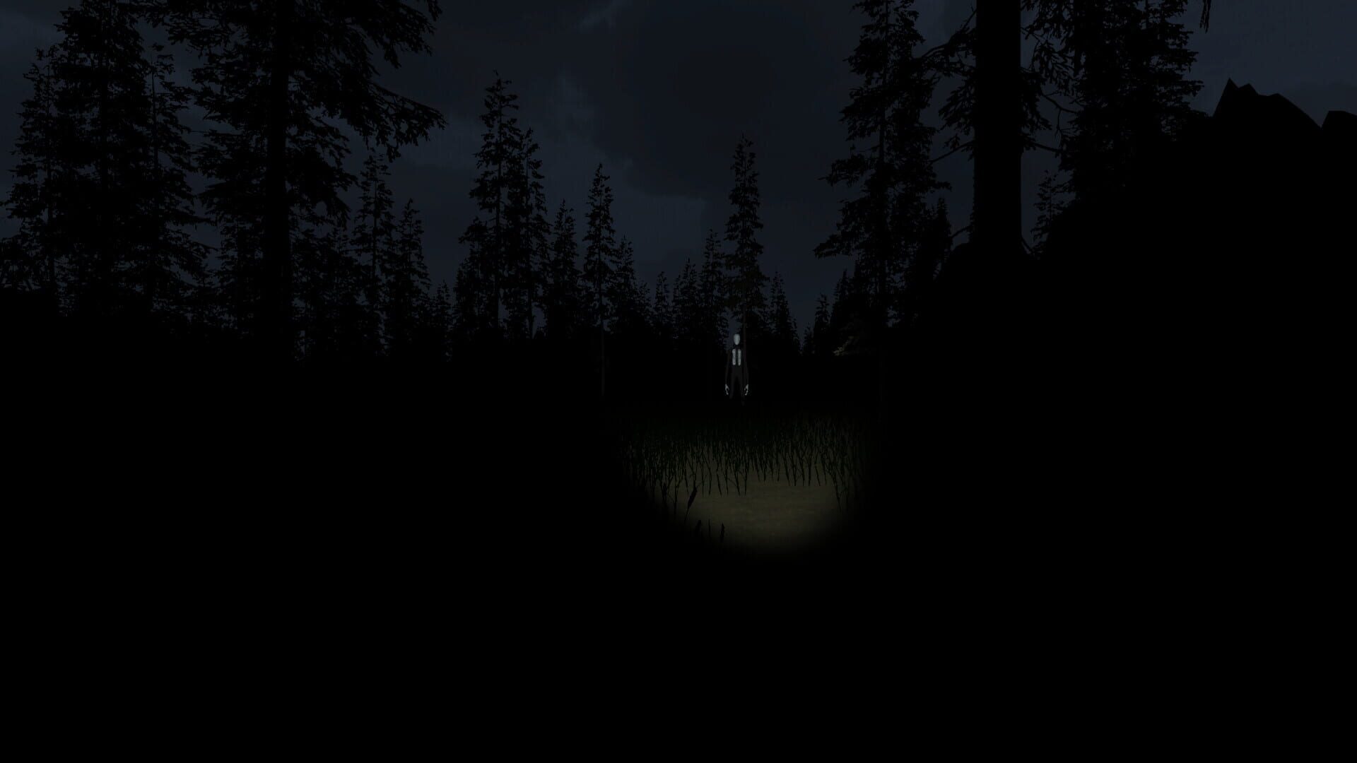 Slender: Visit into the Woods - Screenshot