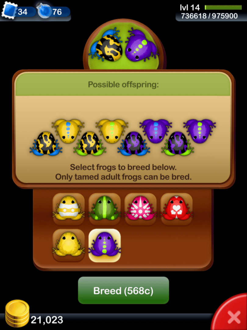 Pocket Frogs screenshot