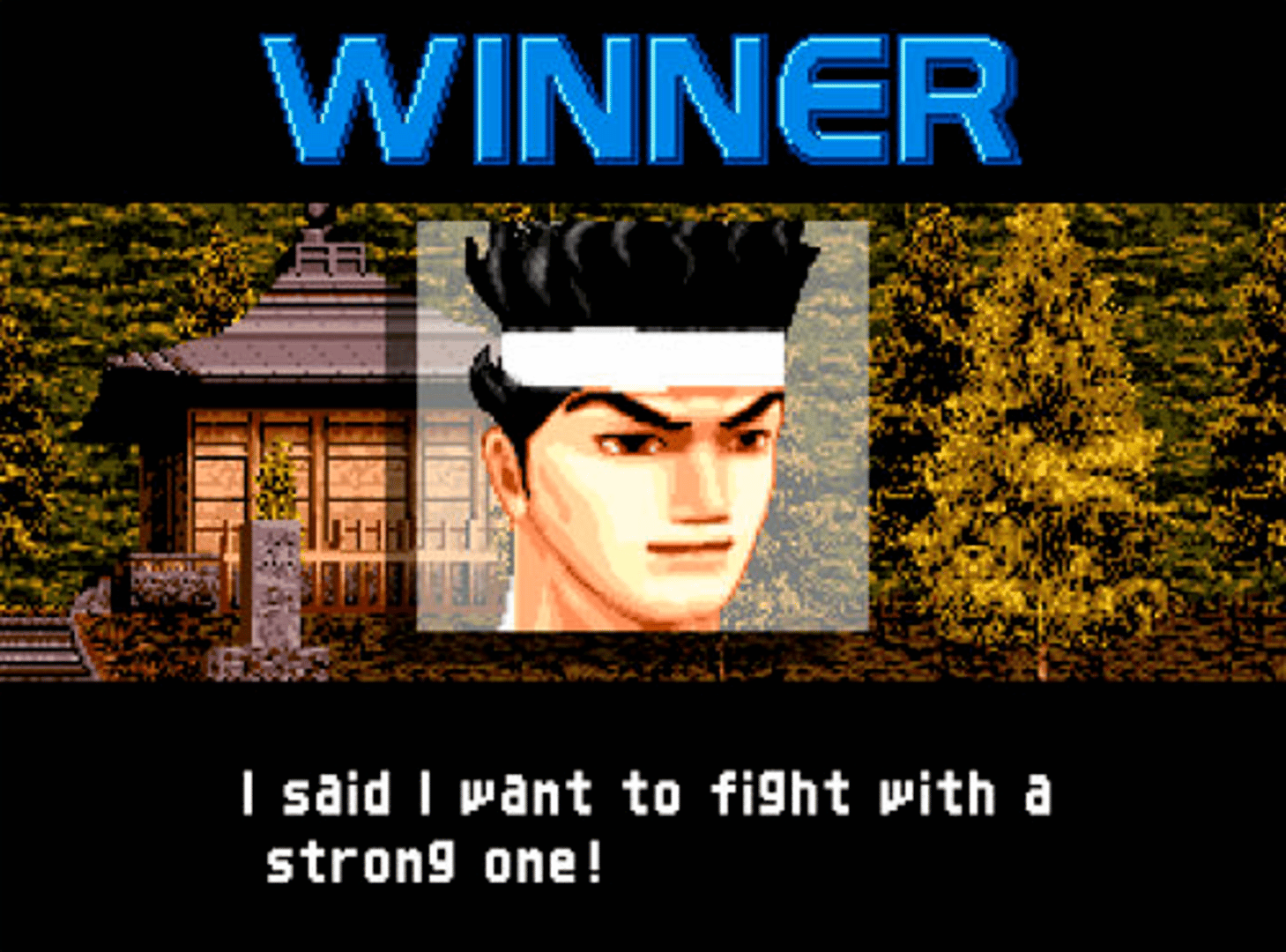 Virtua Fighter 2 screenshot