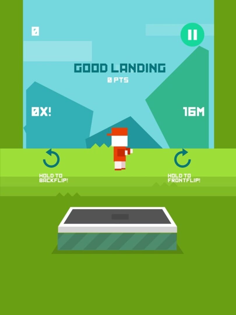Flips! - Screenshot