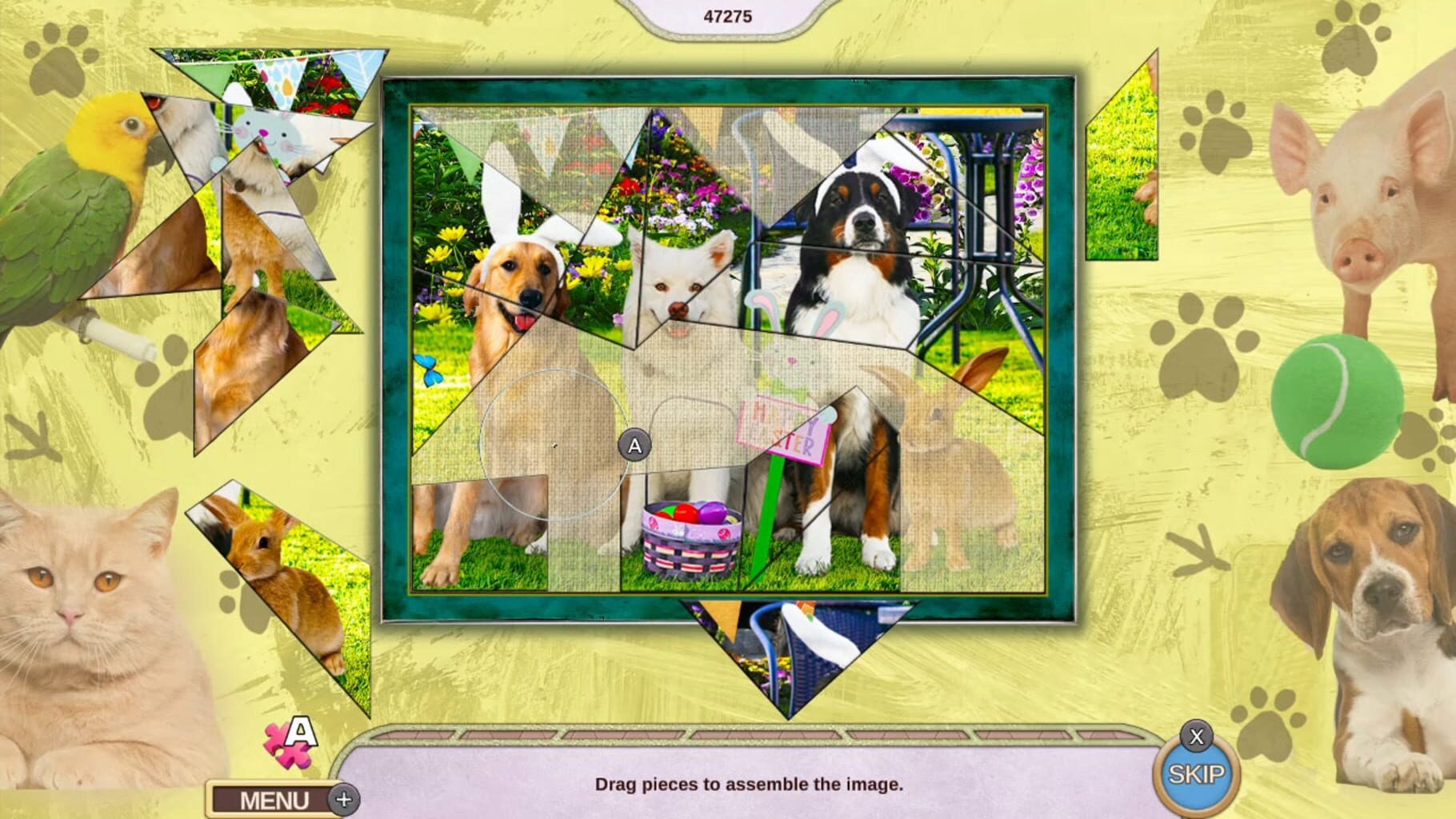 My Lovely Pets: Collector's Edition screenshot