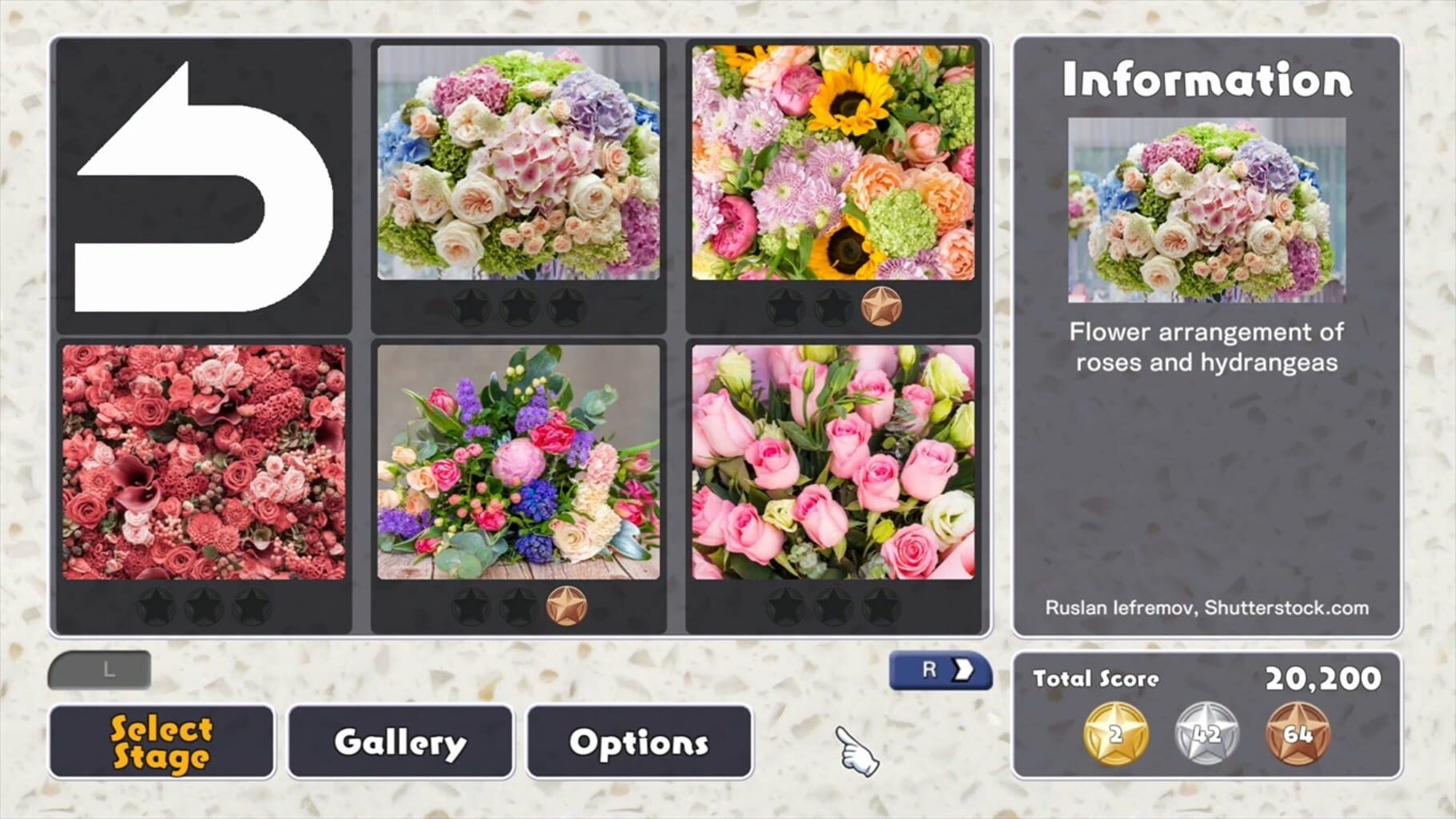 Jigsaw Masterpieces: Flower Arrangement screenshot