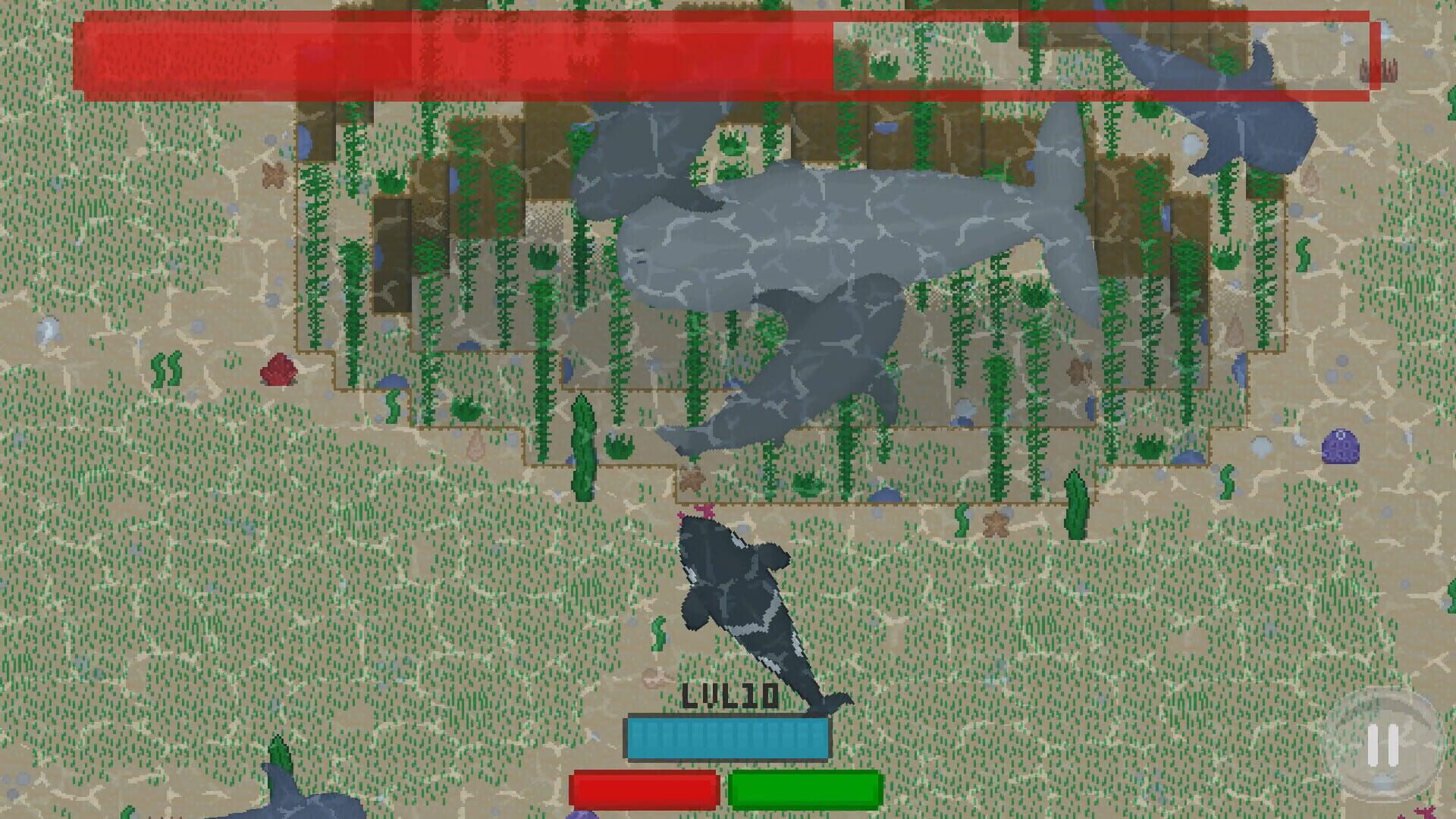 SharkKing - Screenshot