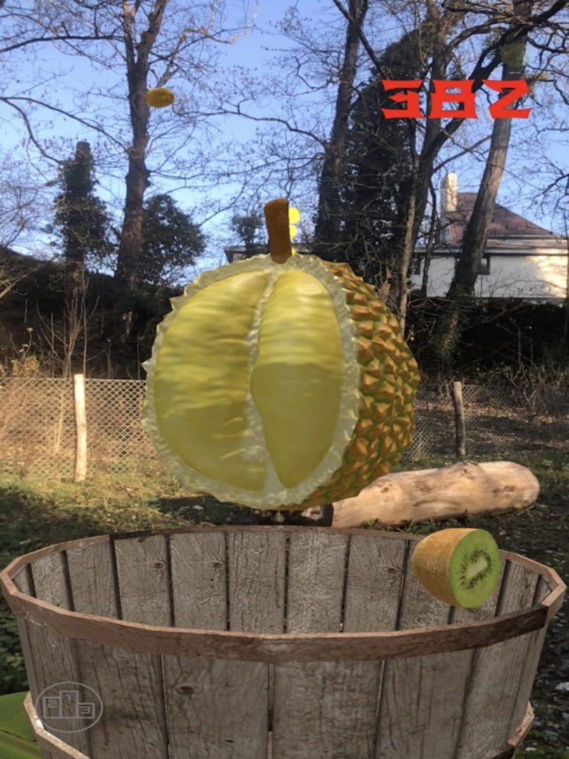 Fruit Warrior AR - Screenshot