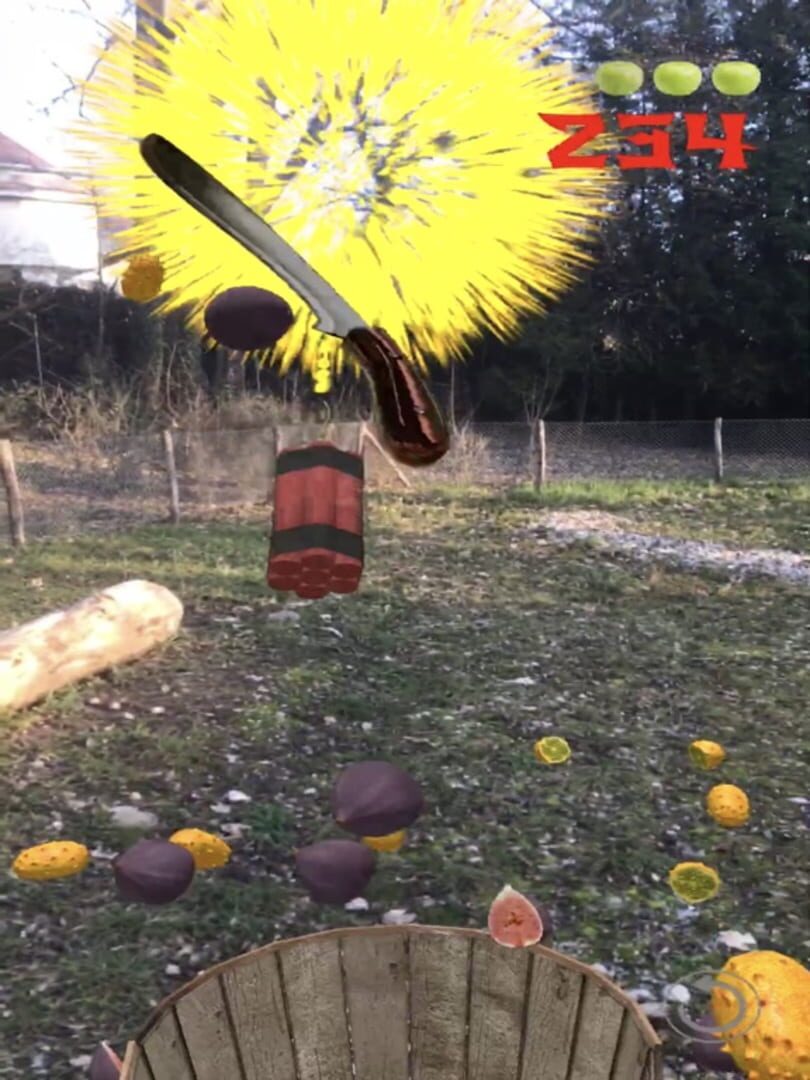 Fruit Warrior AR - Screenshot