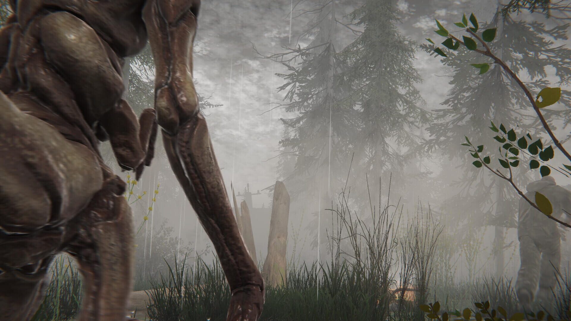 T.D.Z. 3: Dark Way of Stalker