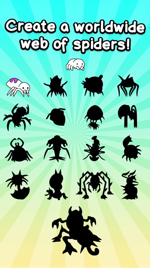 Spider Evolution