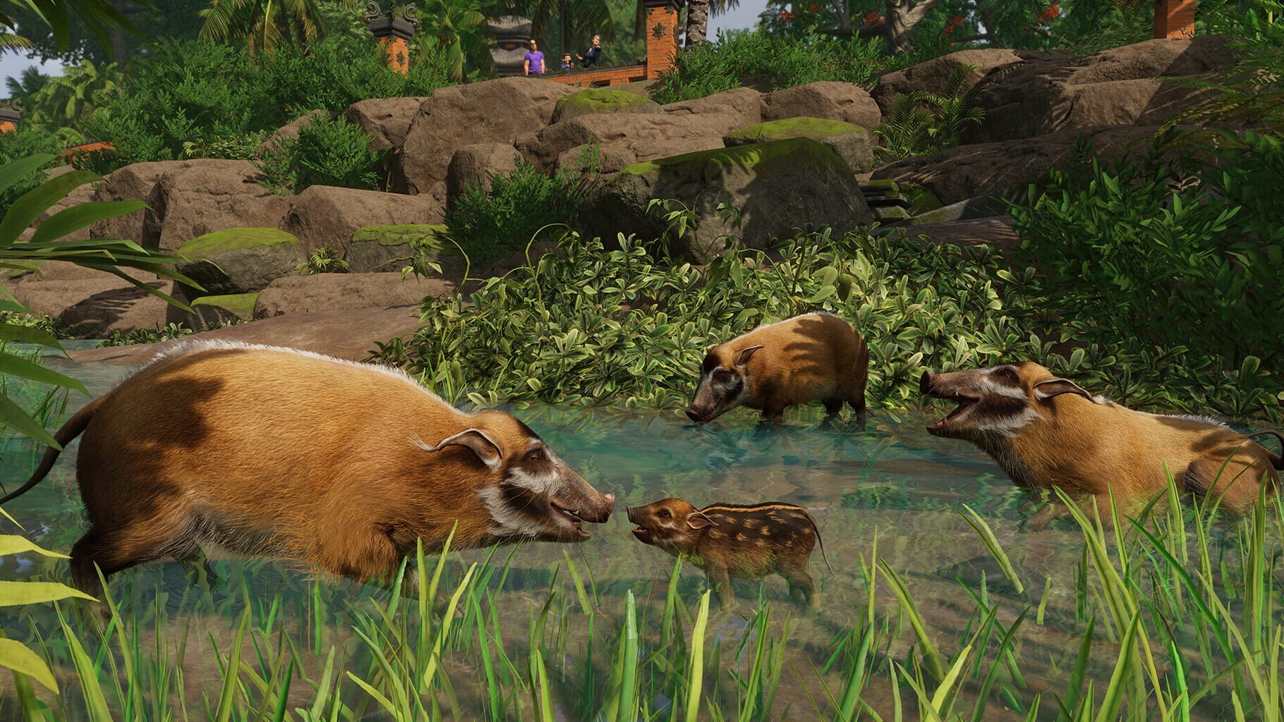 Captura de pantalla - Planet Zoo: Tropical Pack